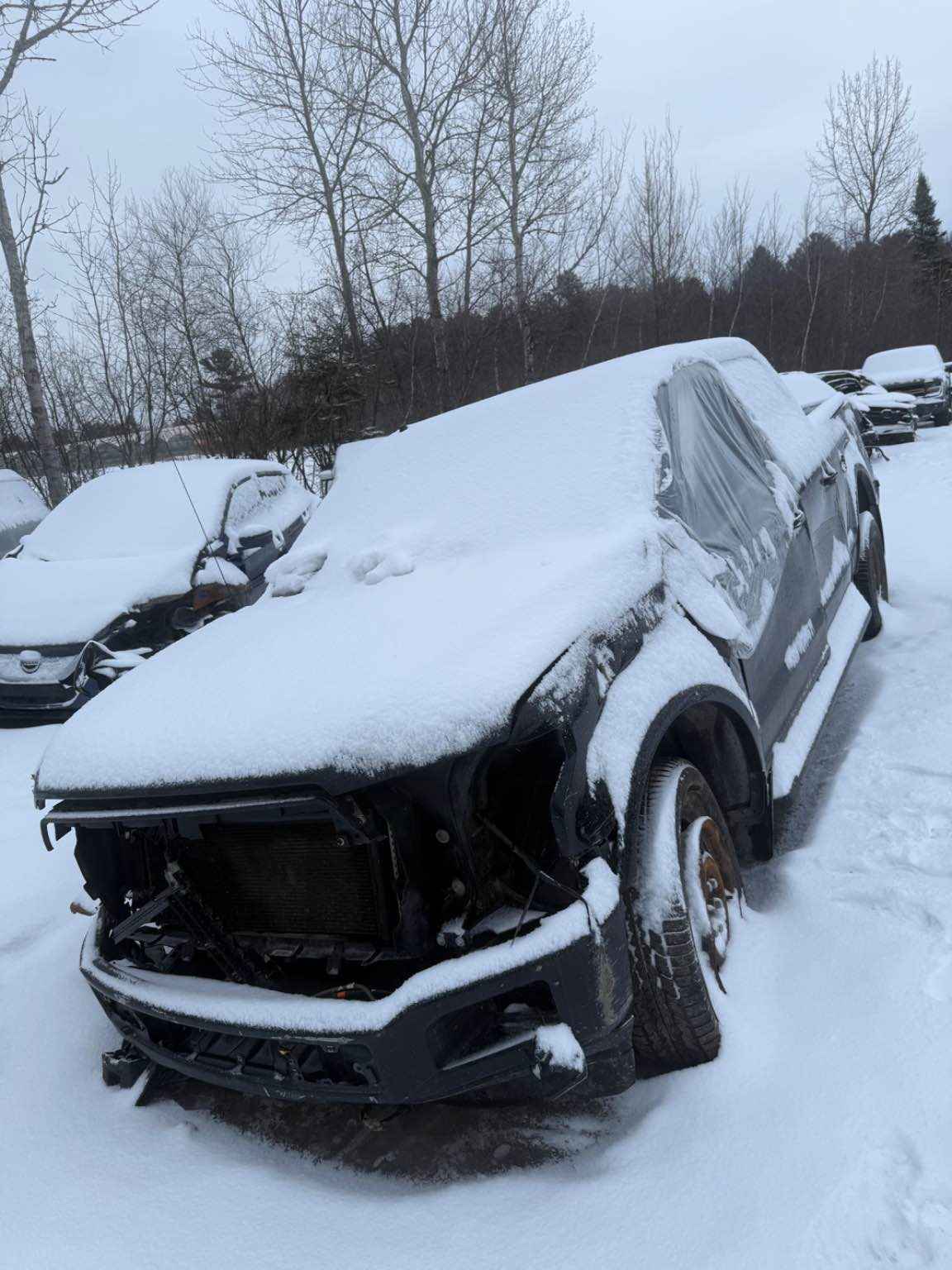 2019 Ford Pickup (Ford)