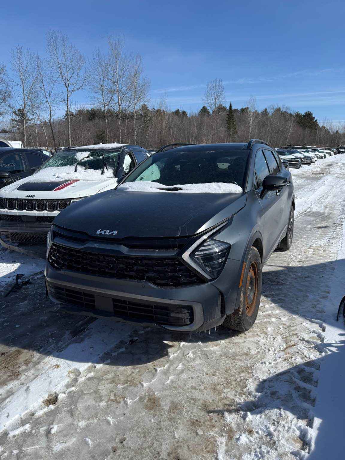 2023 Kia Sportage
