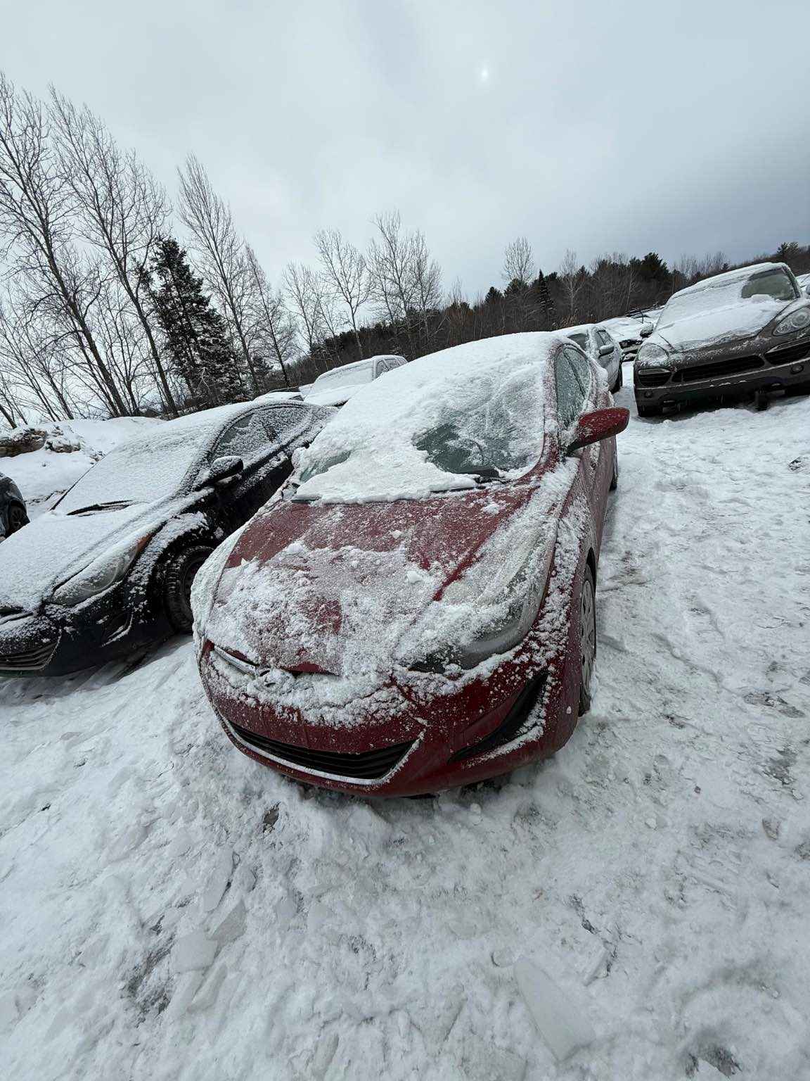 2014 Hyundai Elantra