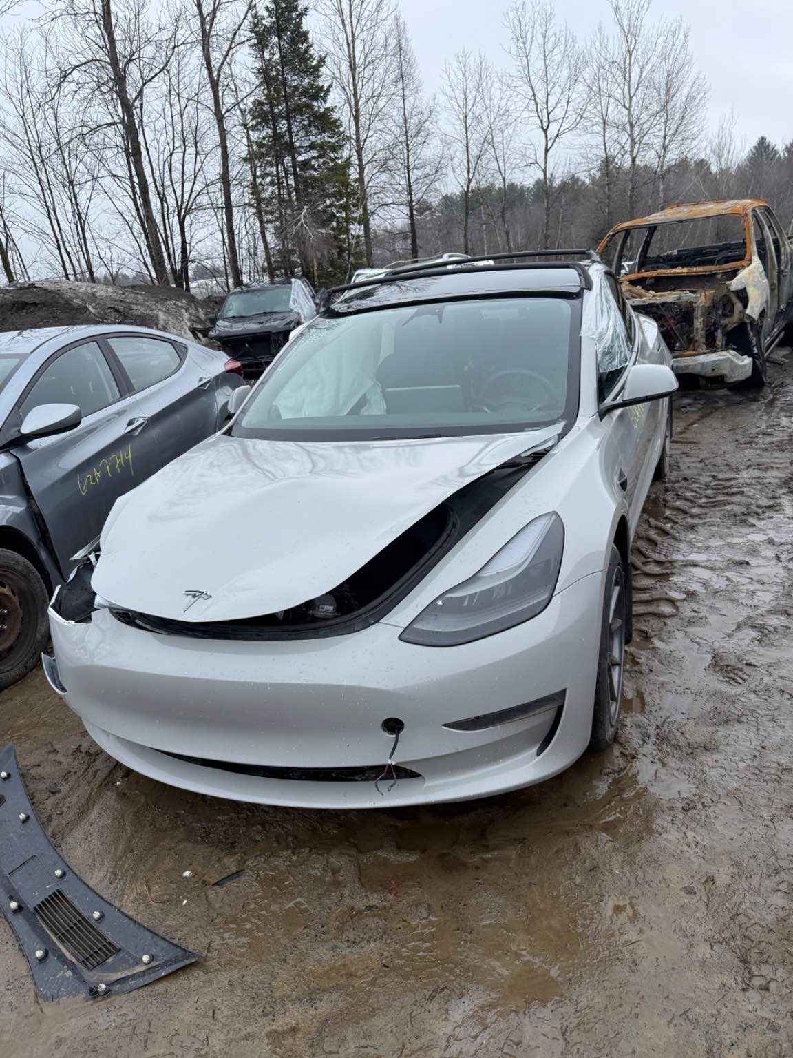 2023 Tesla Tesla 3
