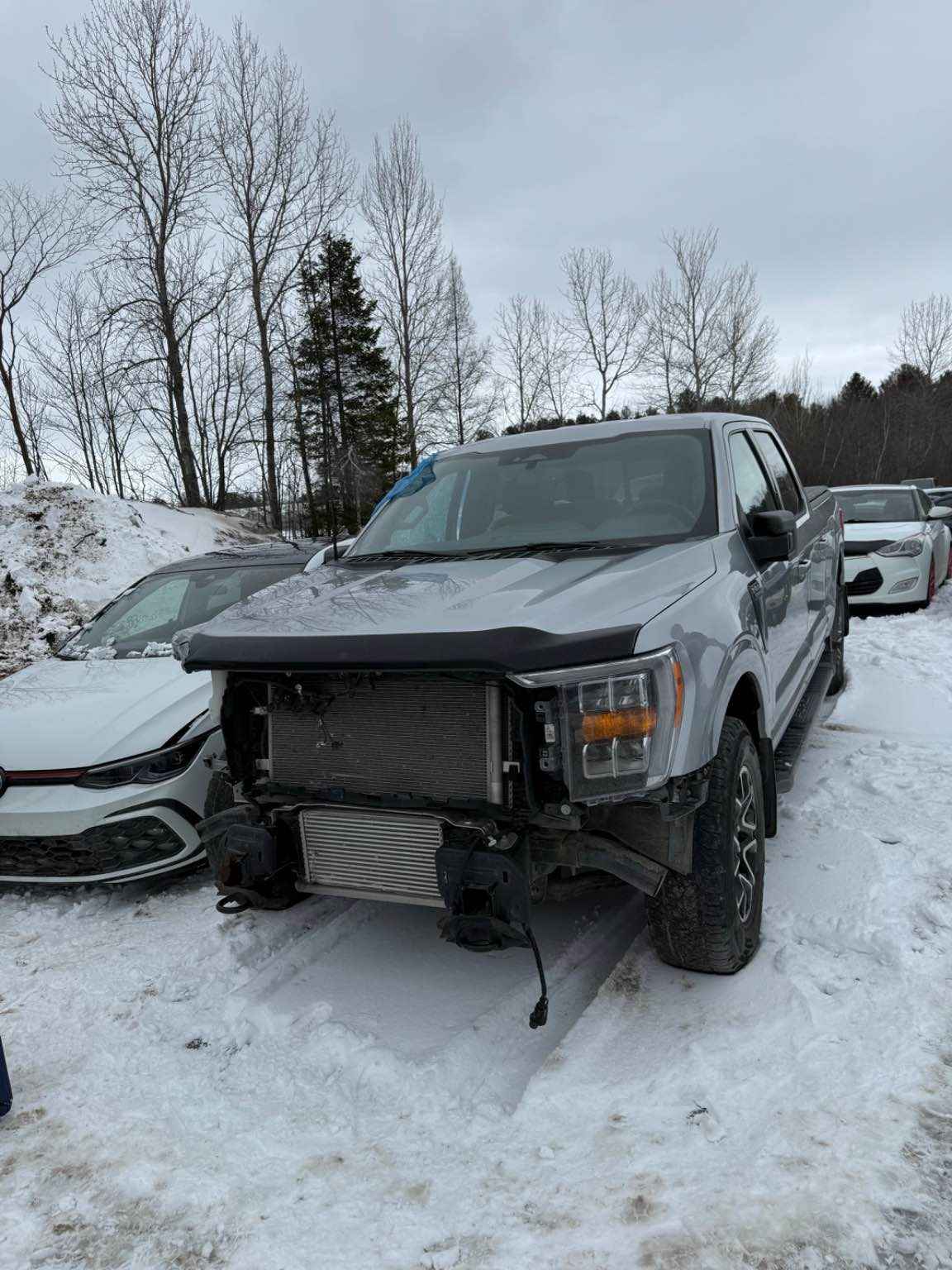 2022 Ford Pickup (Ford)