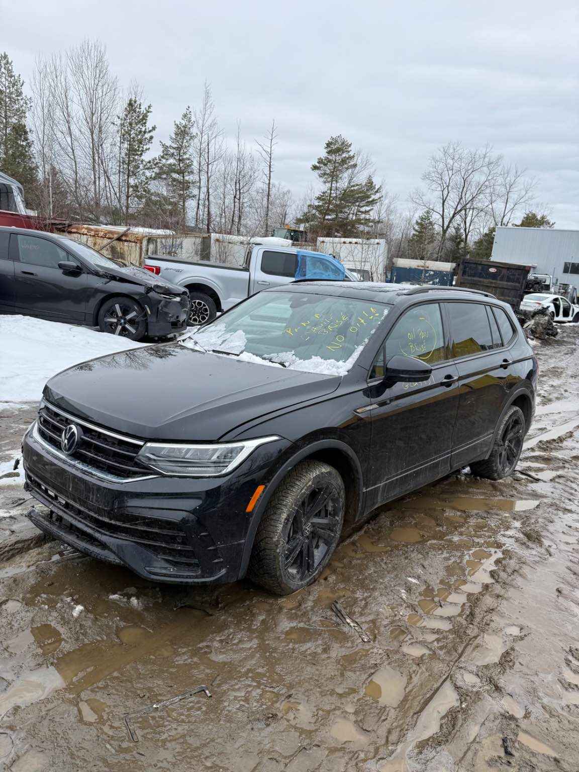 2024 Volkswagen Tiguan