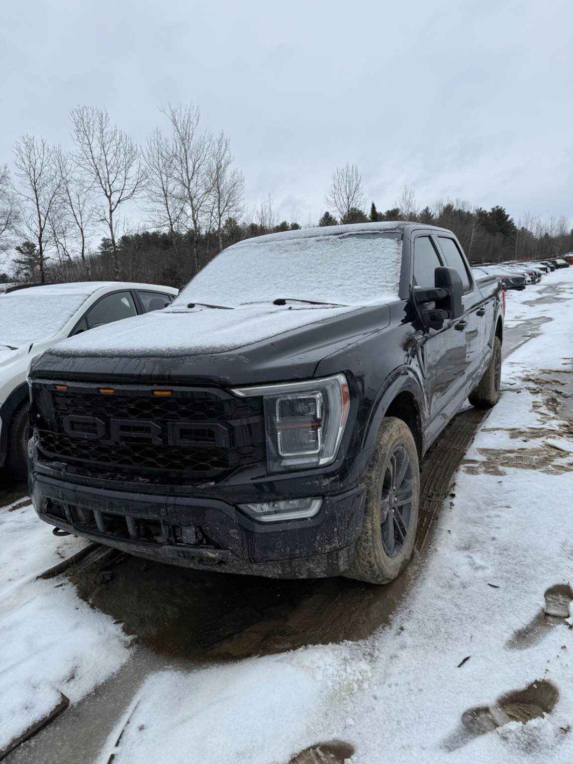 2023 Ford Pickup (Ford)