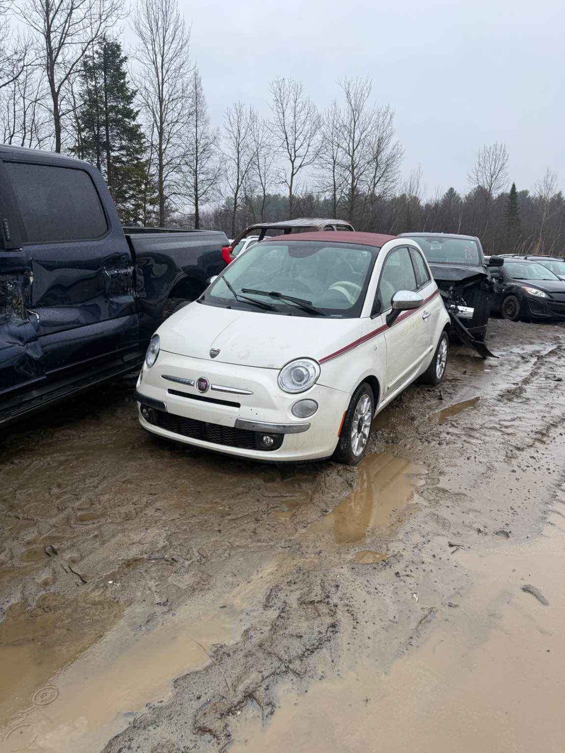 2014 Fiat 500 (Fiat)