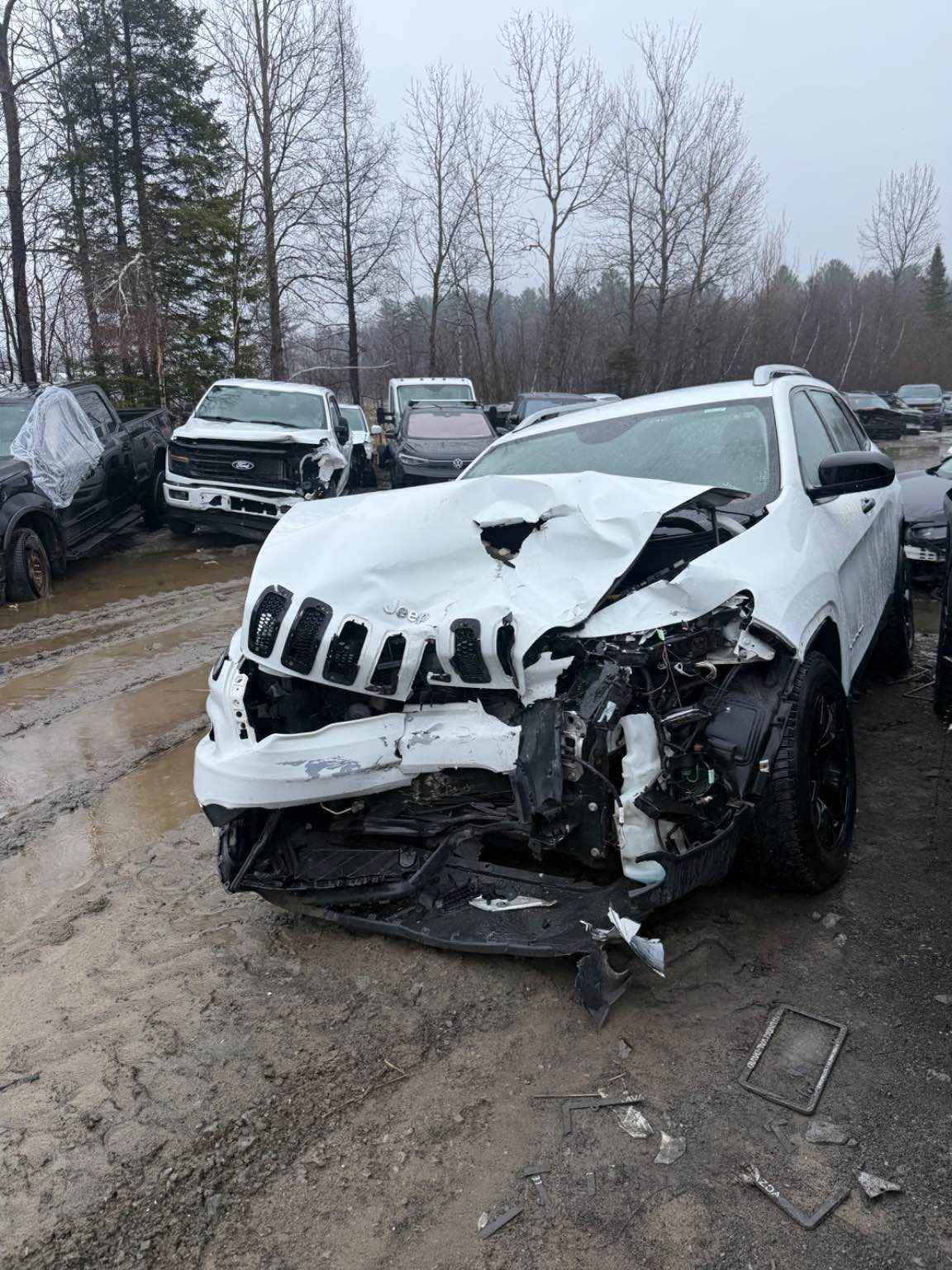 2016 Jeep Cherokee (All)