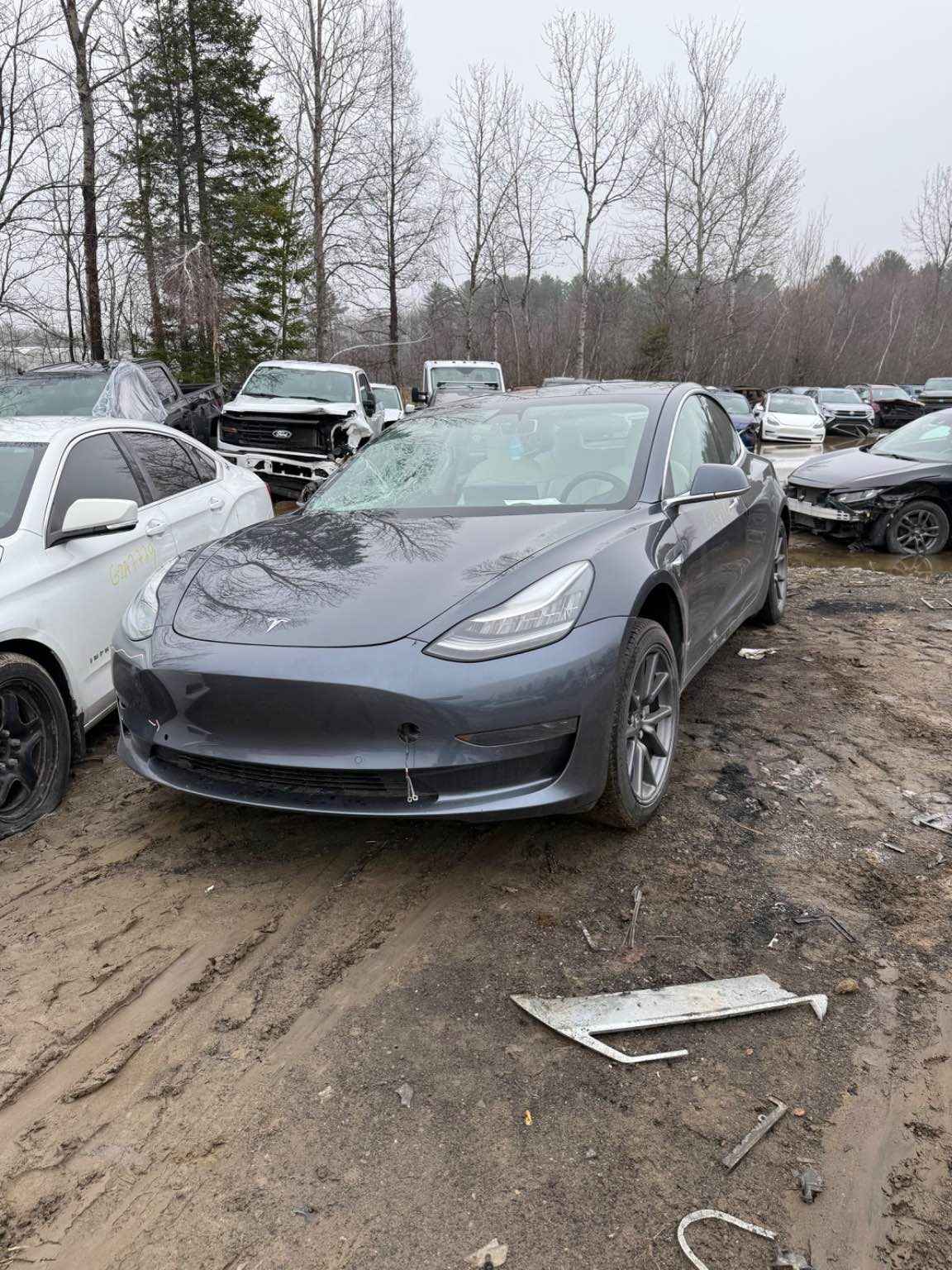 2020 Tesla Tesla 3