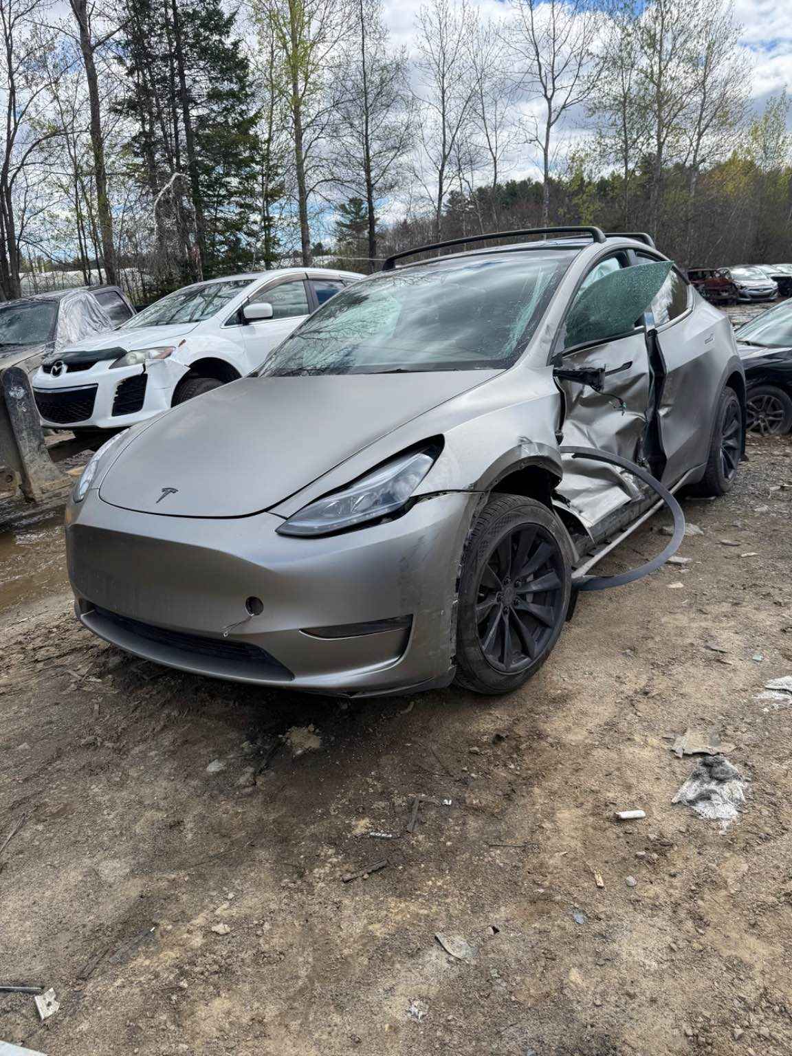 2024 Tesla Tesla Y