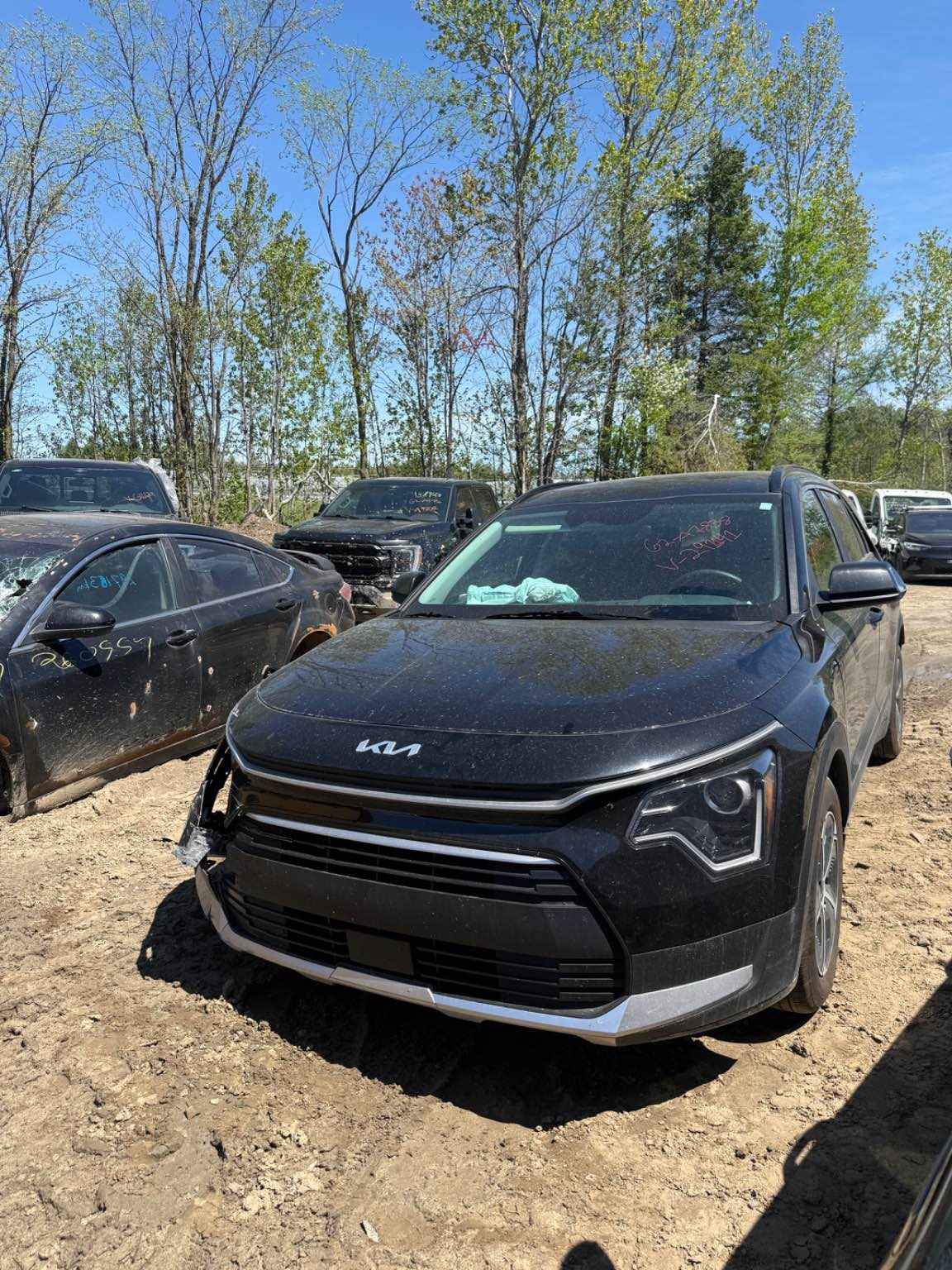2025 Kia Niro