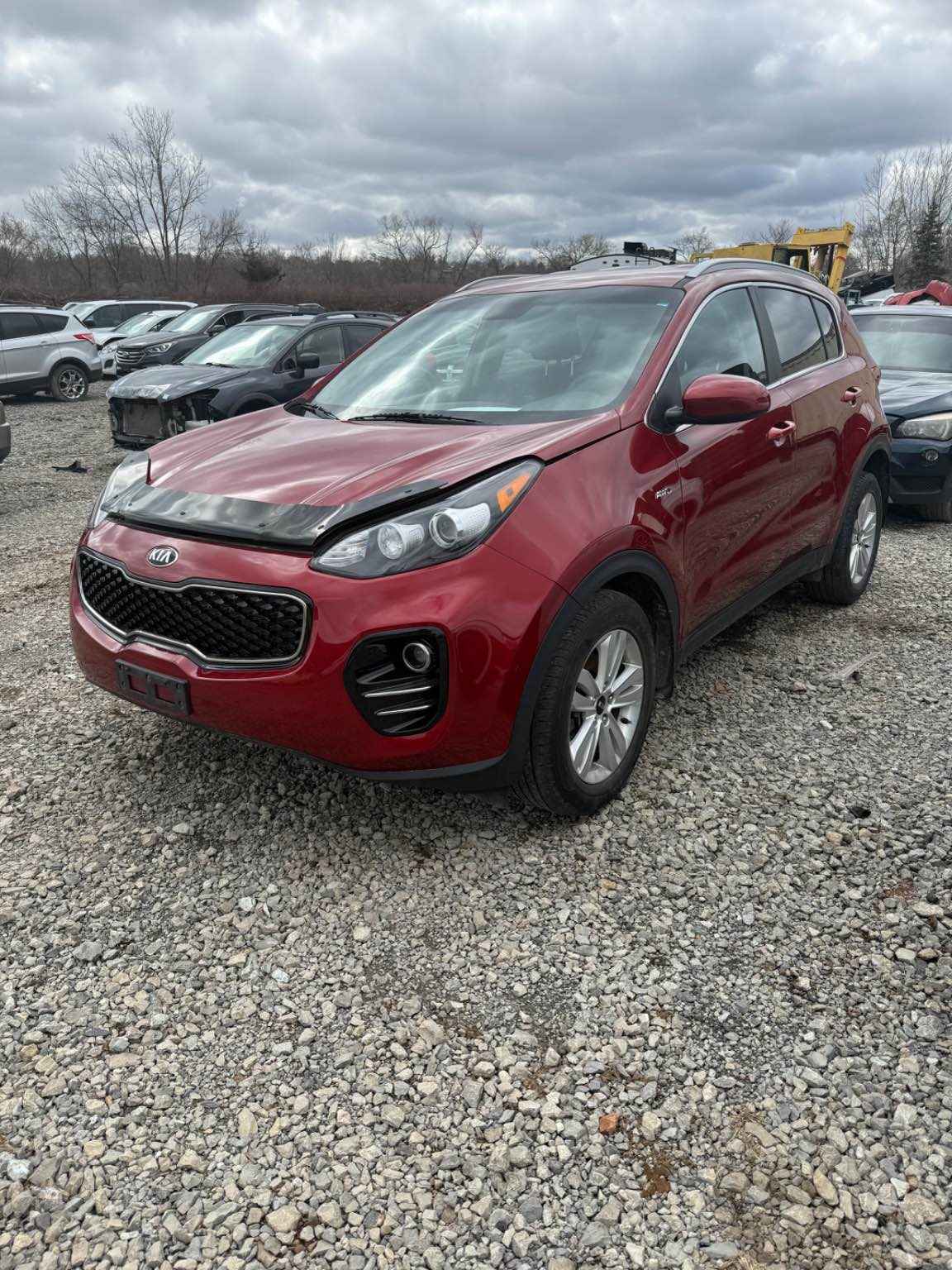 2019 Kia Sportage