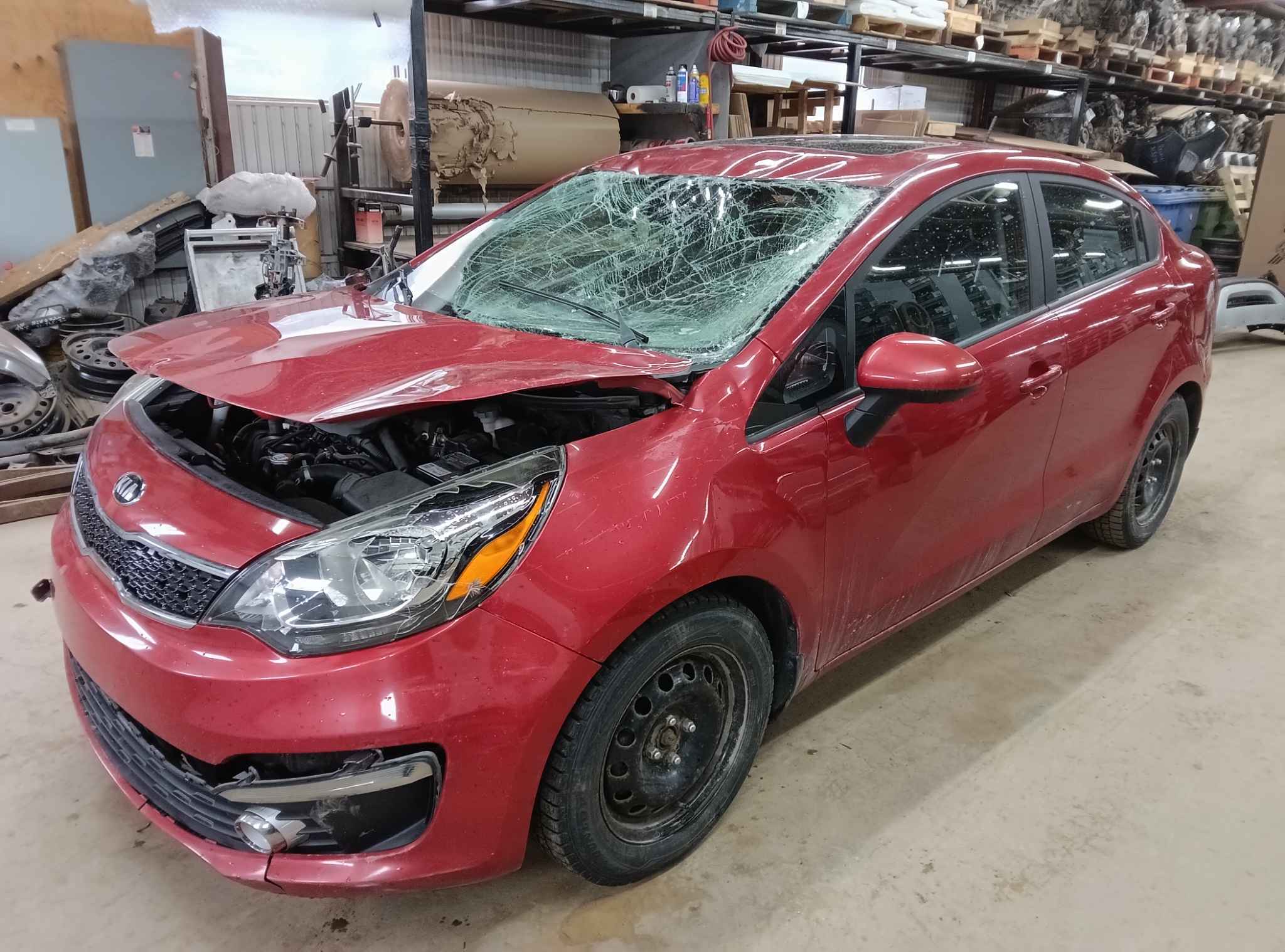 2017 Kia Rio