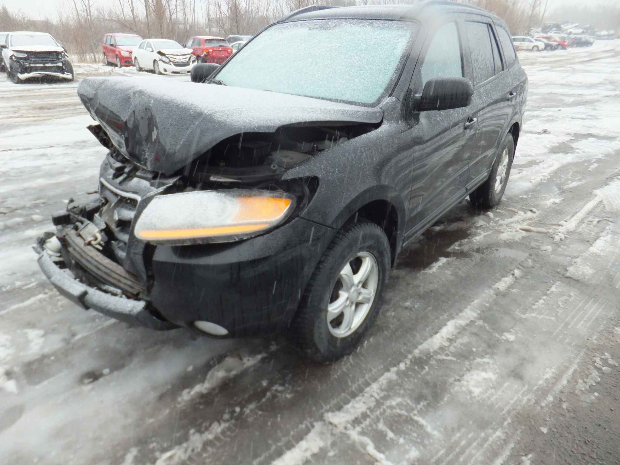 2009 Hyundai Santa Fe