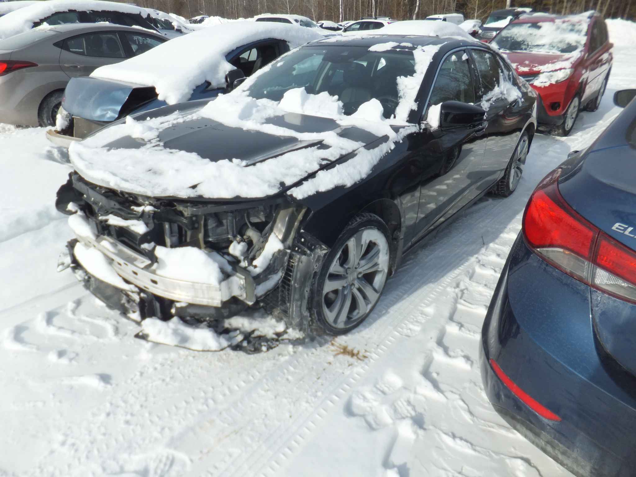 2021 Acura Tlx