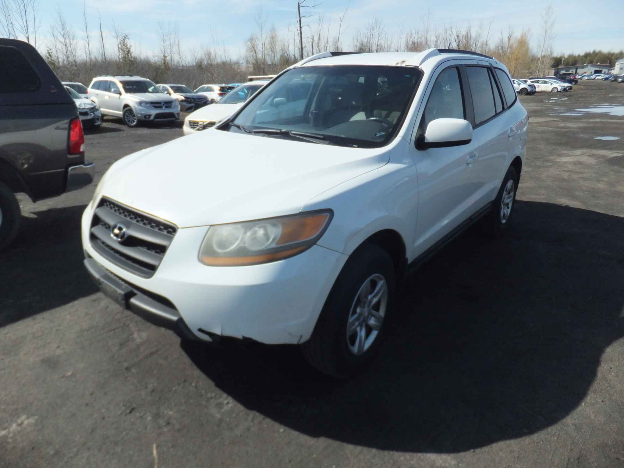 2009 Hyundai Santa Fe