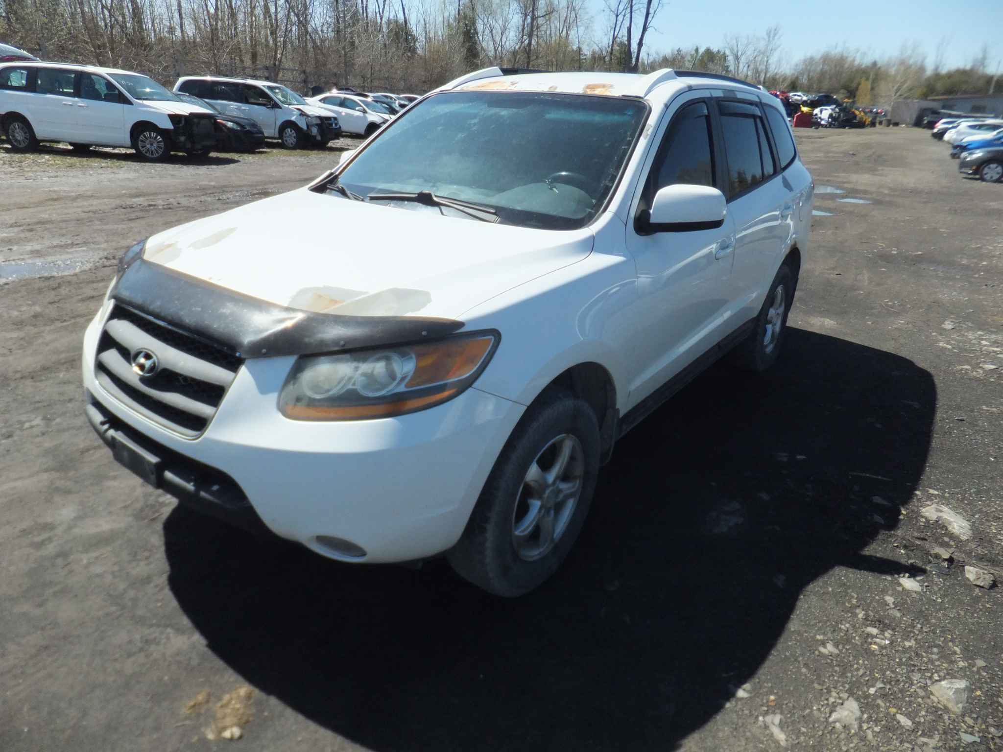 2009 Hyundai Santa Fe