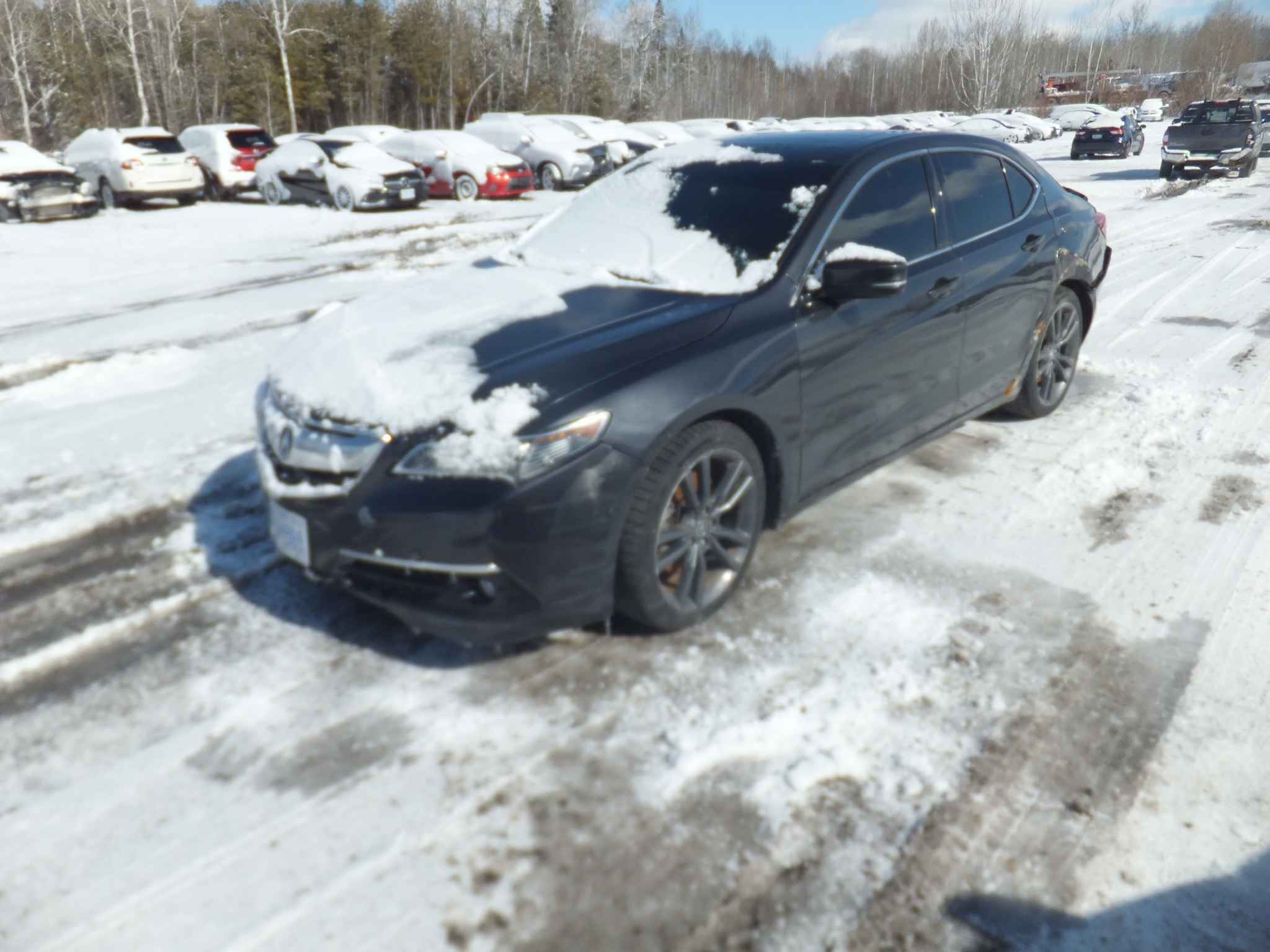 2015 Acura Tlx