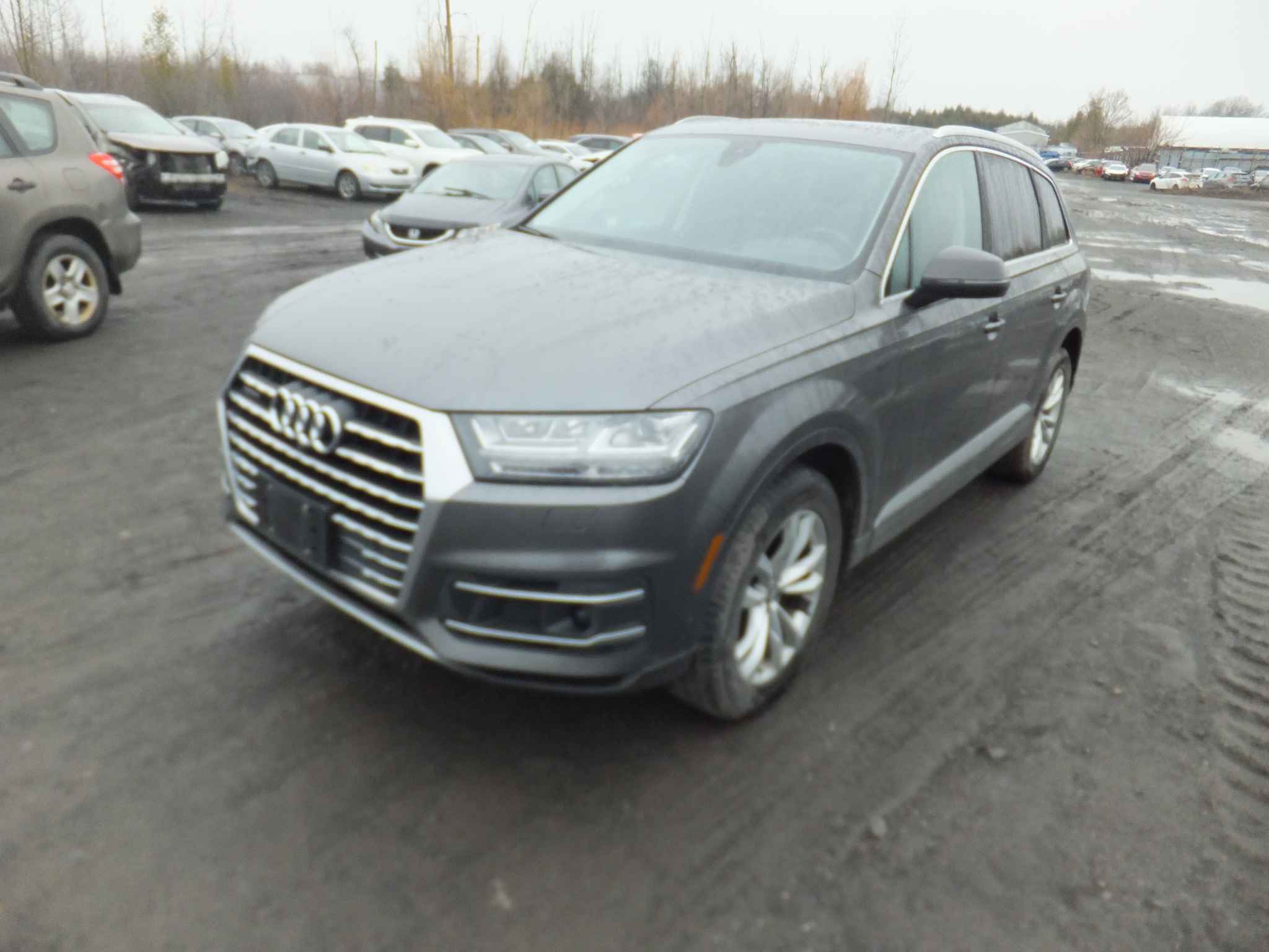 2019 Audi Q7