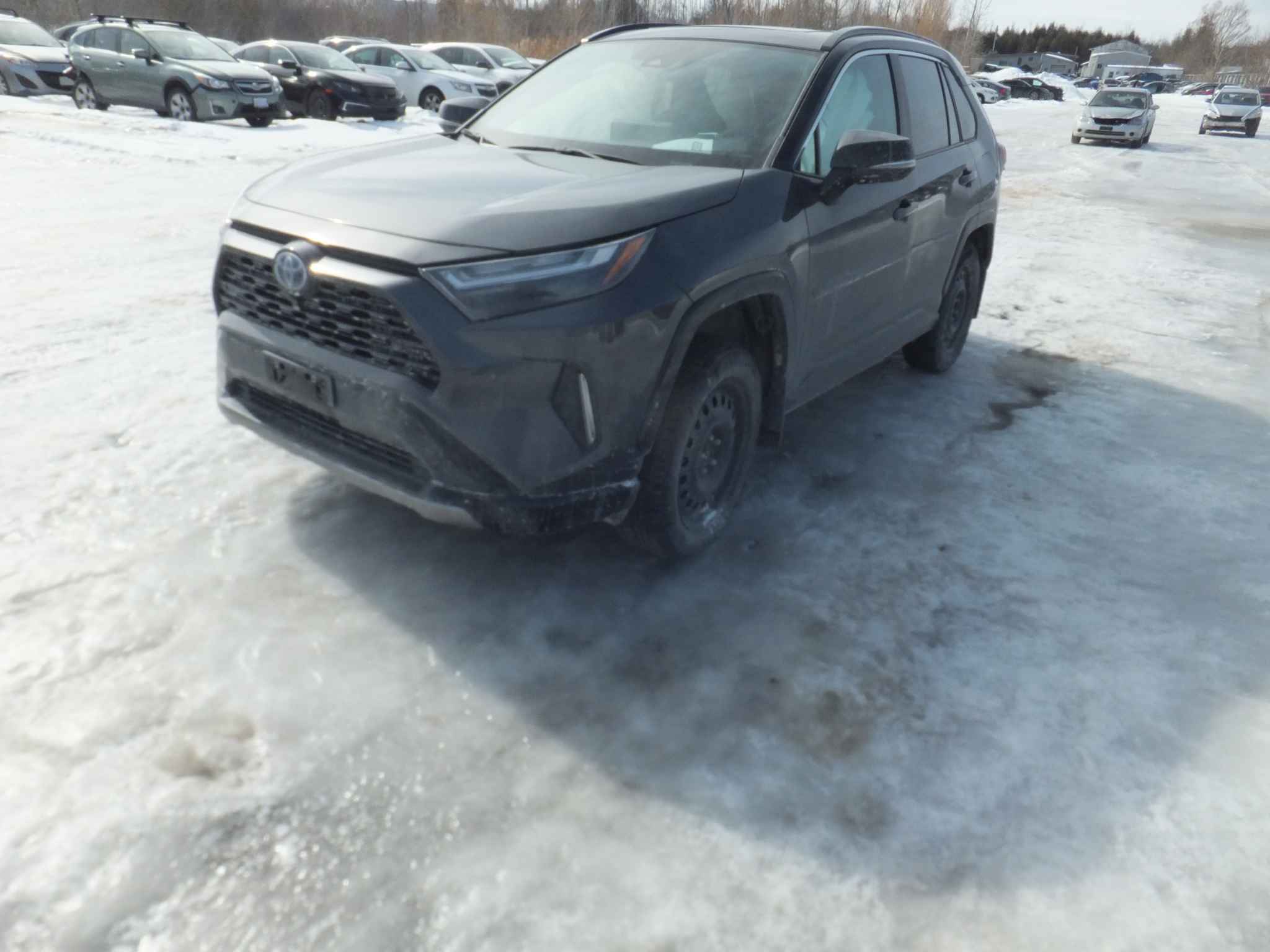 2023 Toyota Rav4