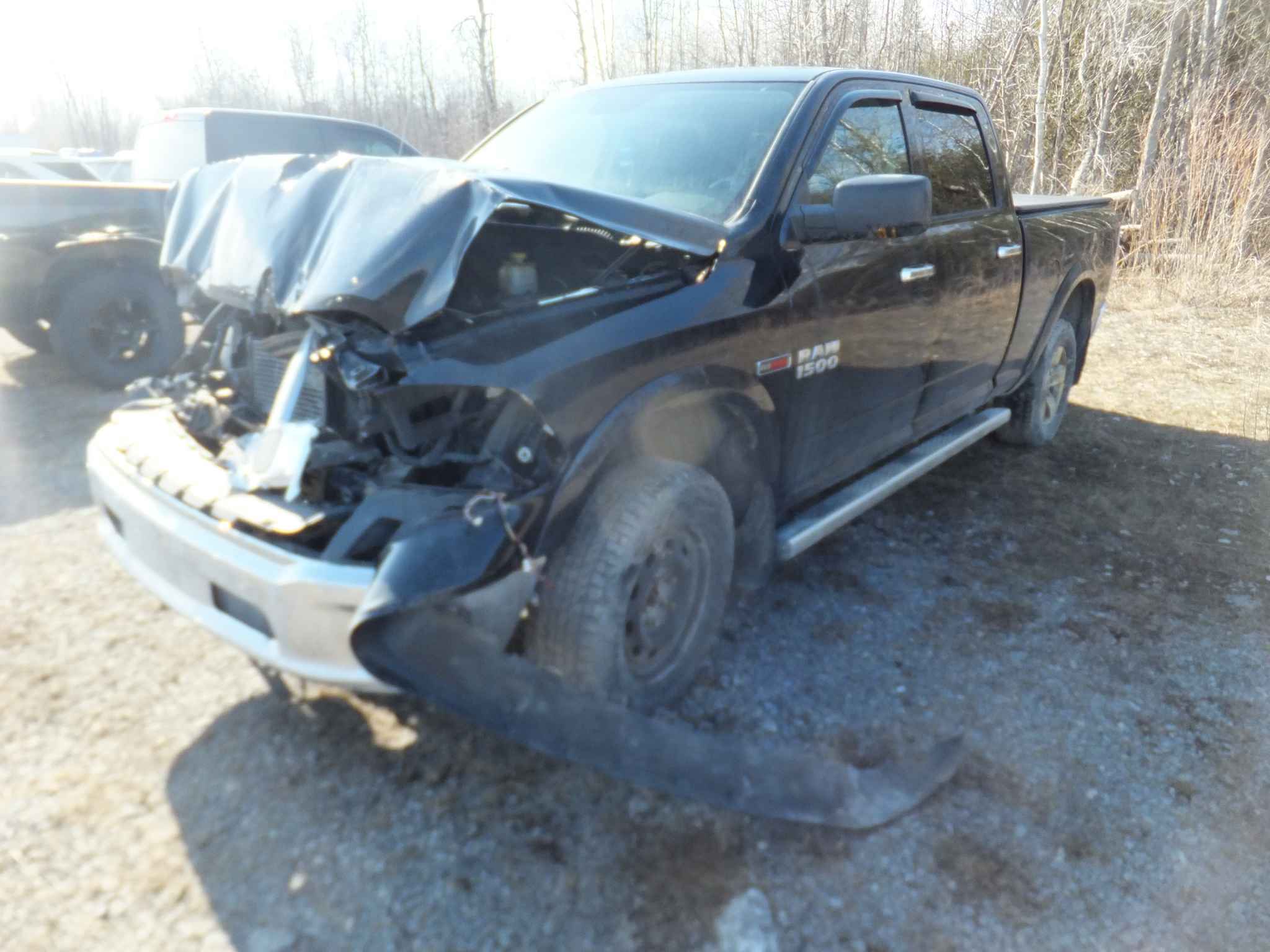2014 Chrysler Pickup (Dodge)