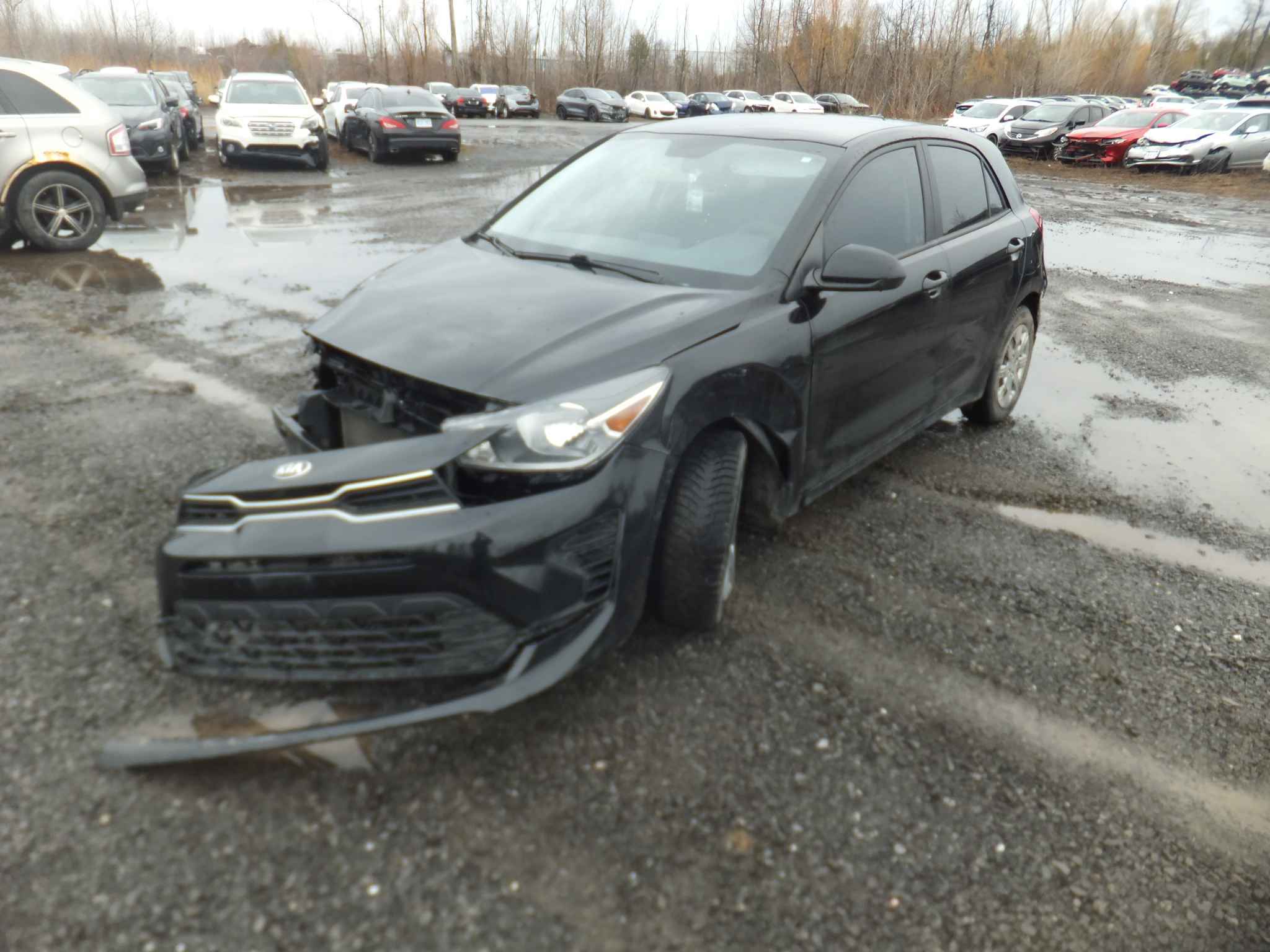 2021 Kia Rio