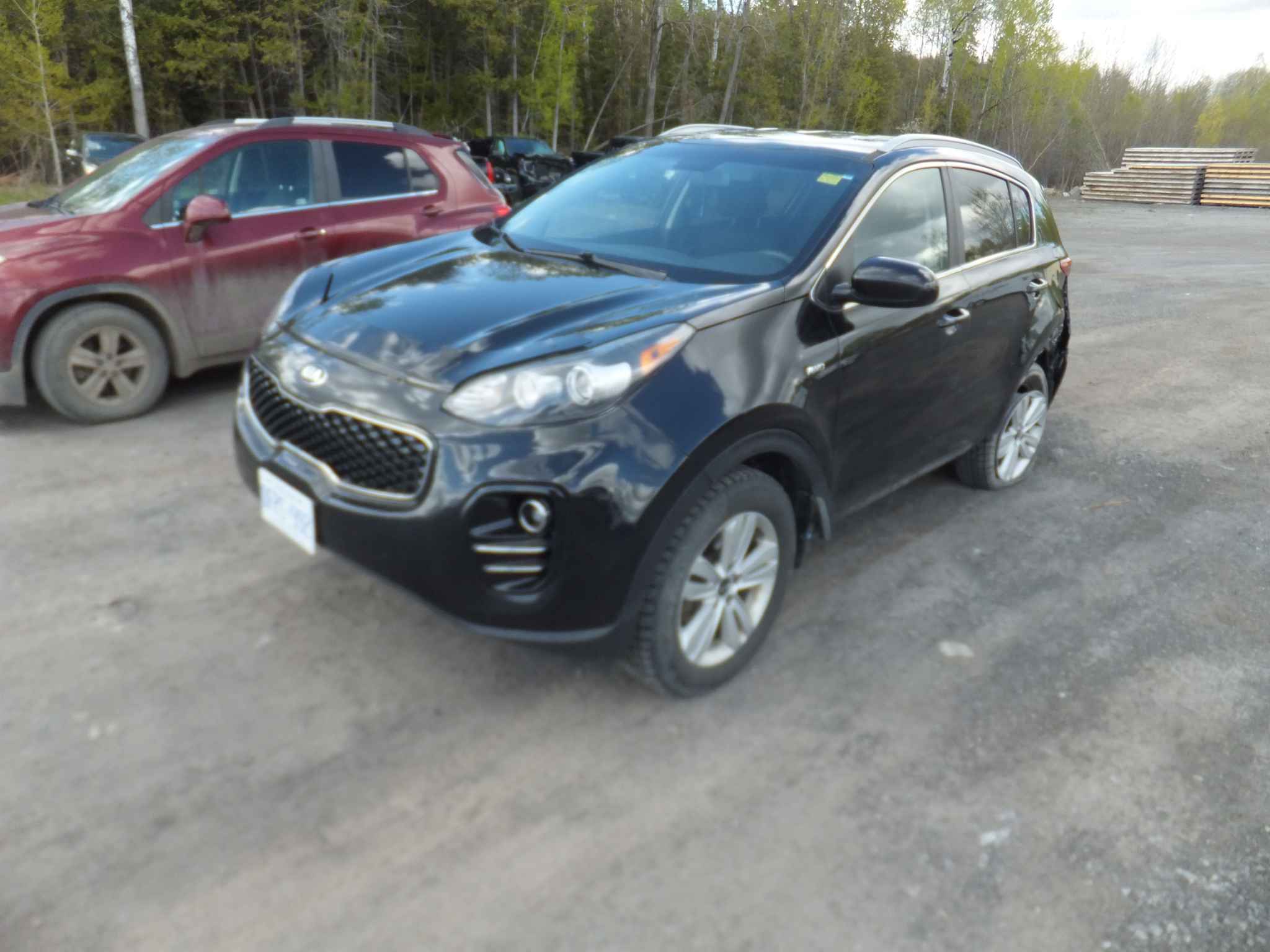 2019 Kia Sportage