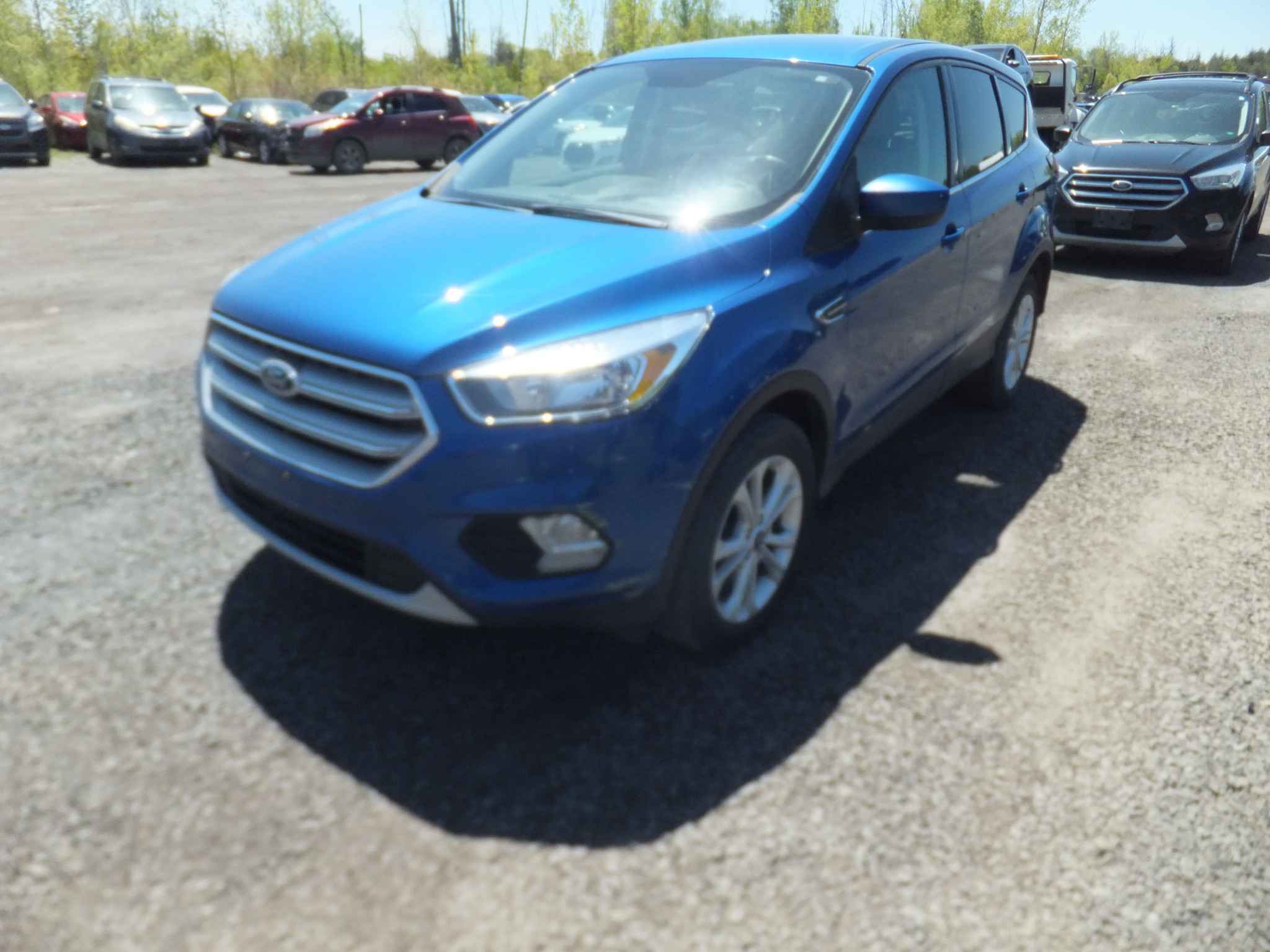 2019 Ford Escape