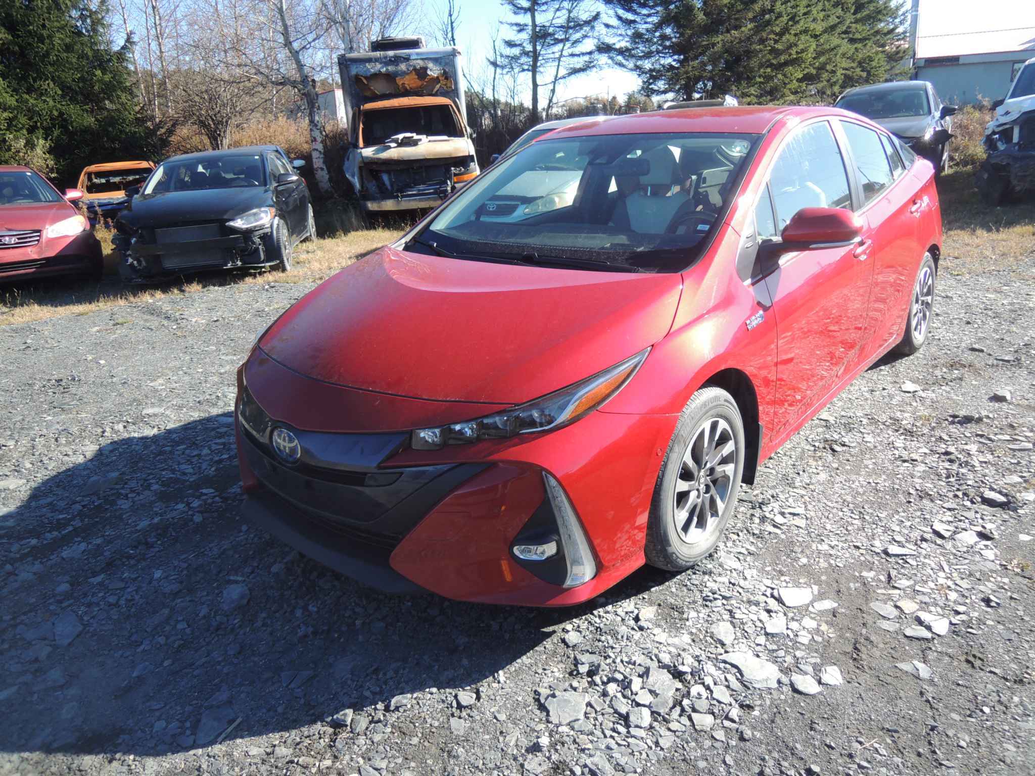 2021 Toyota Prius