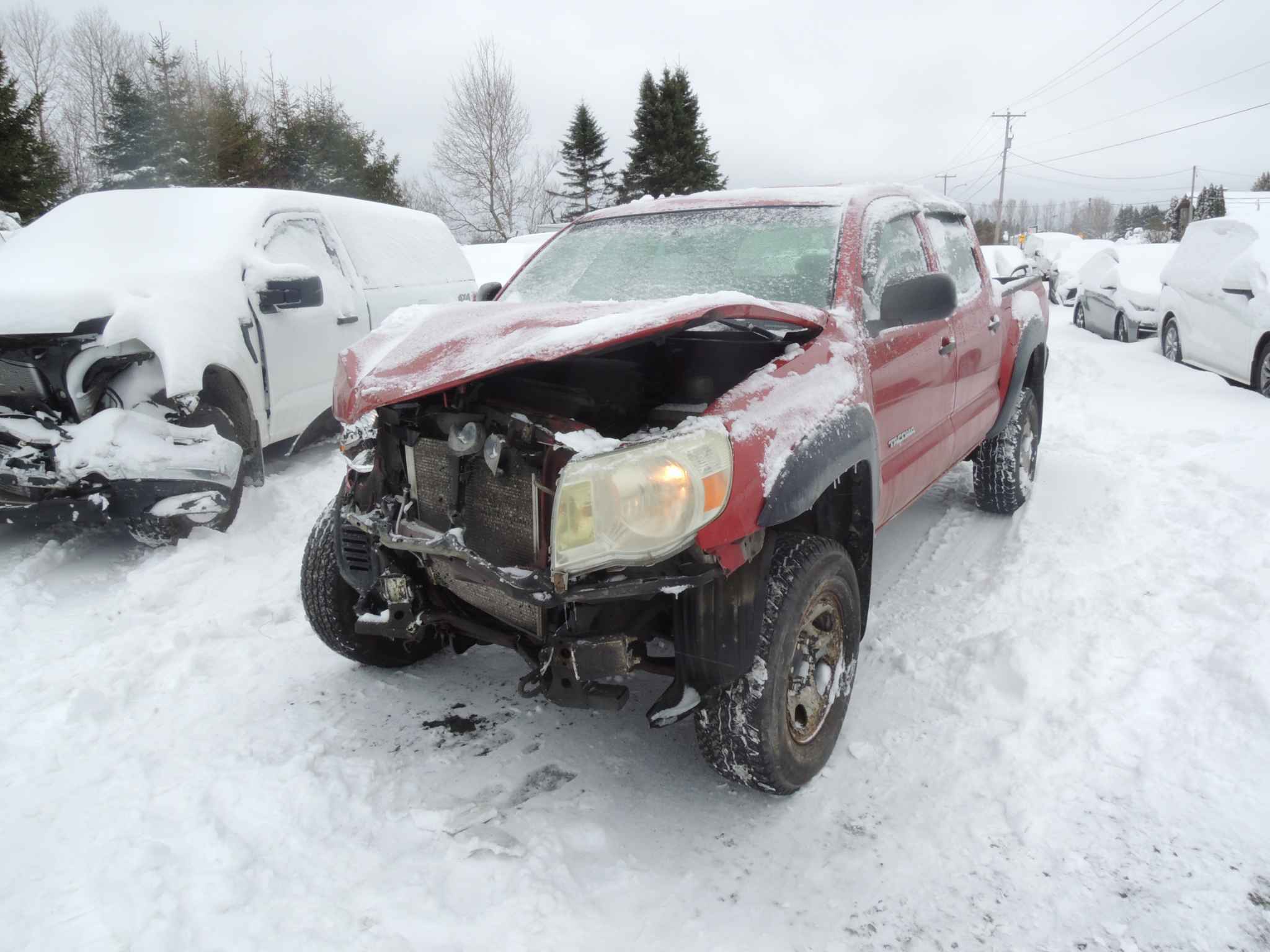 2009 Toyota Tacoma