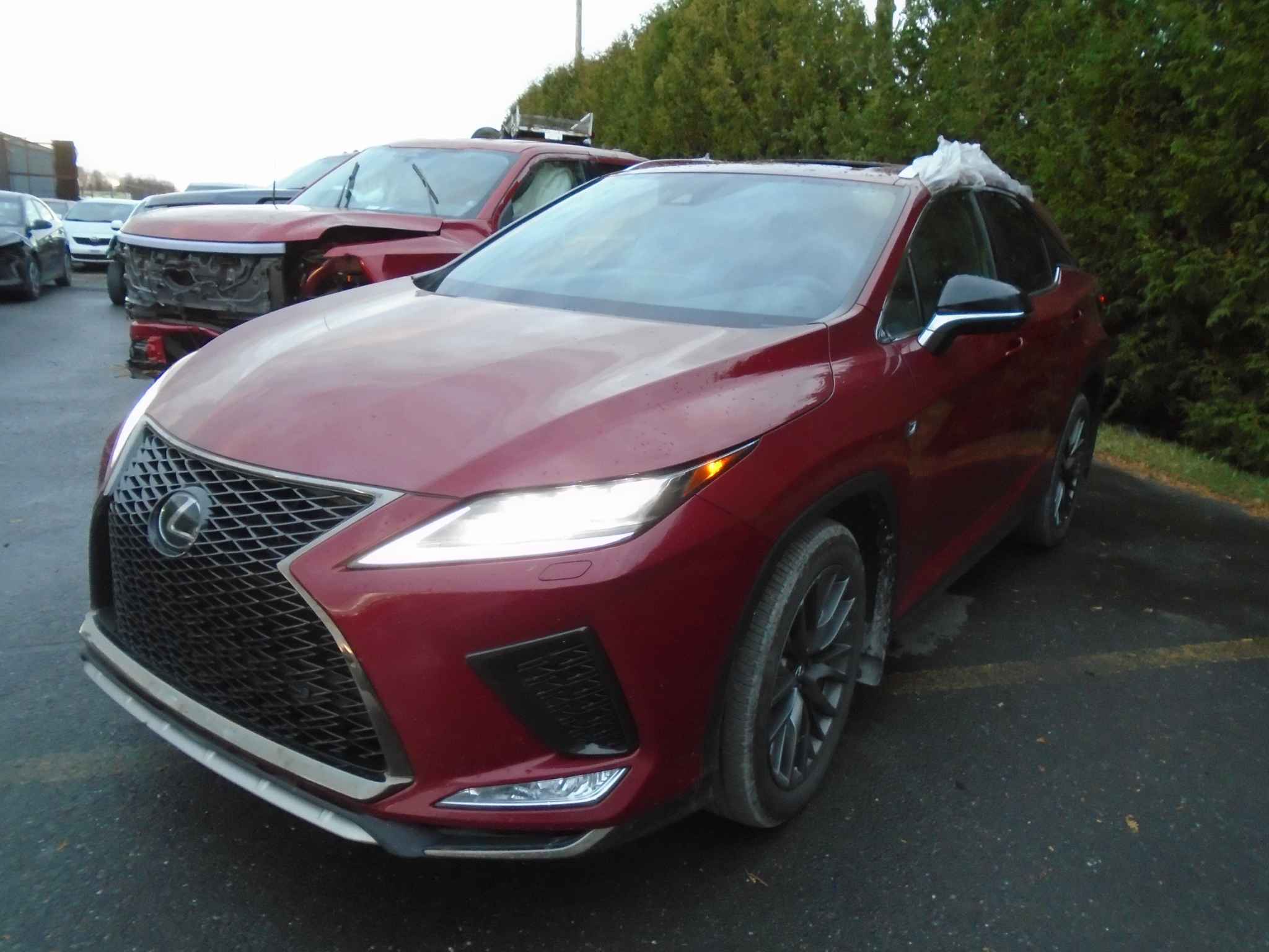 2022 Lexus Lexus Rx