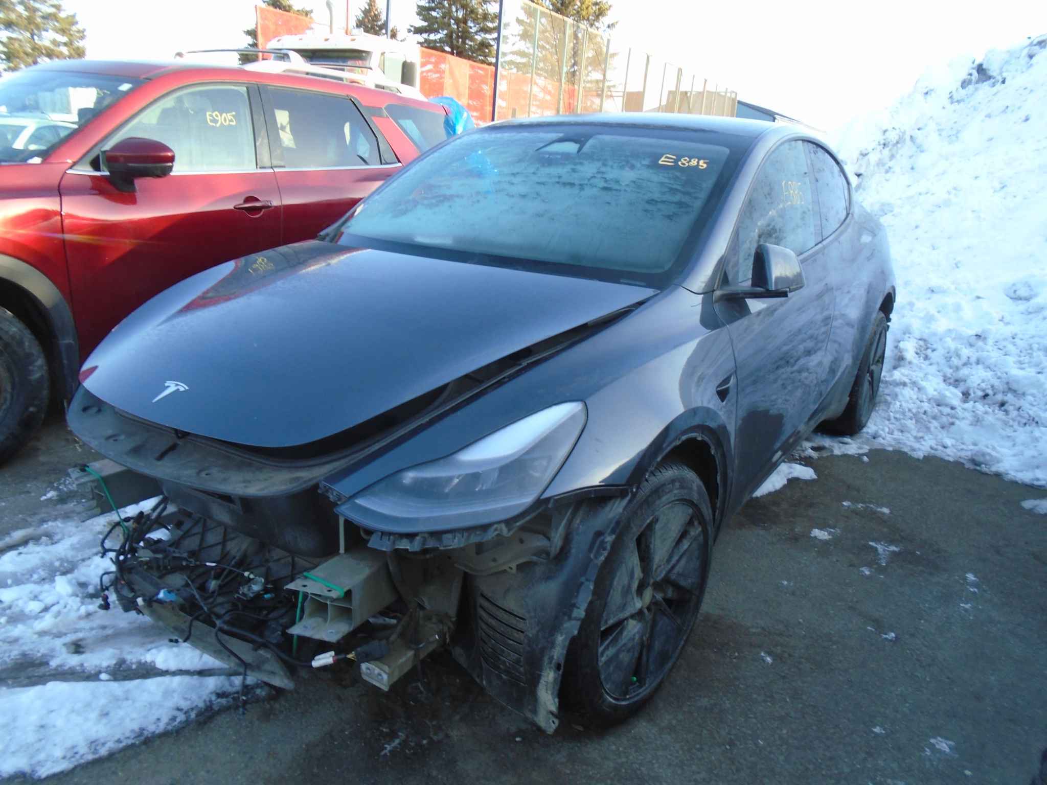 2023 Tesla Tesla Y
