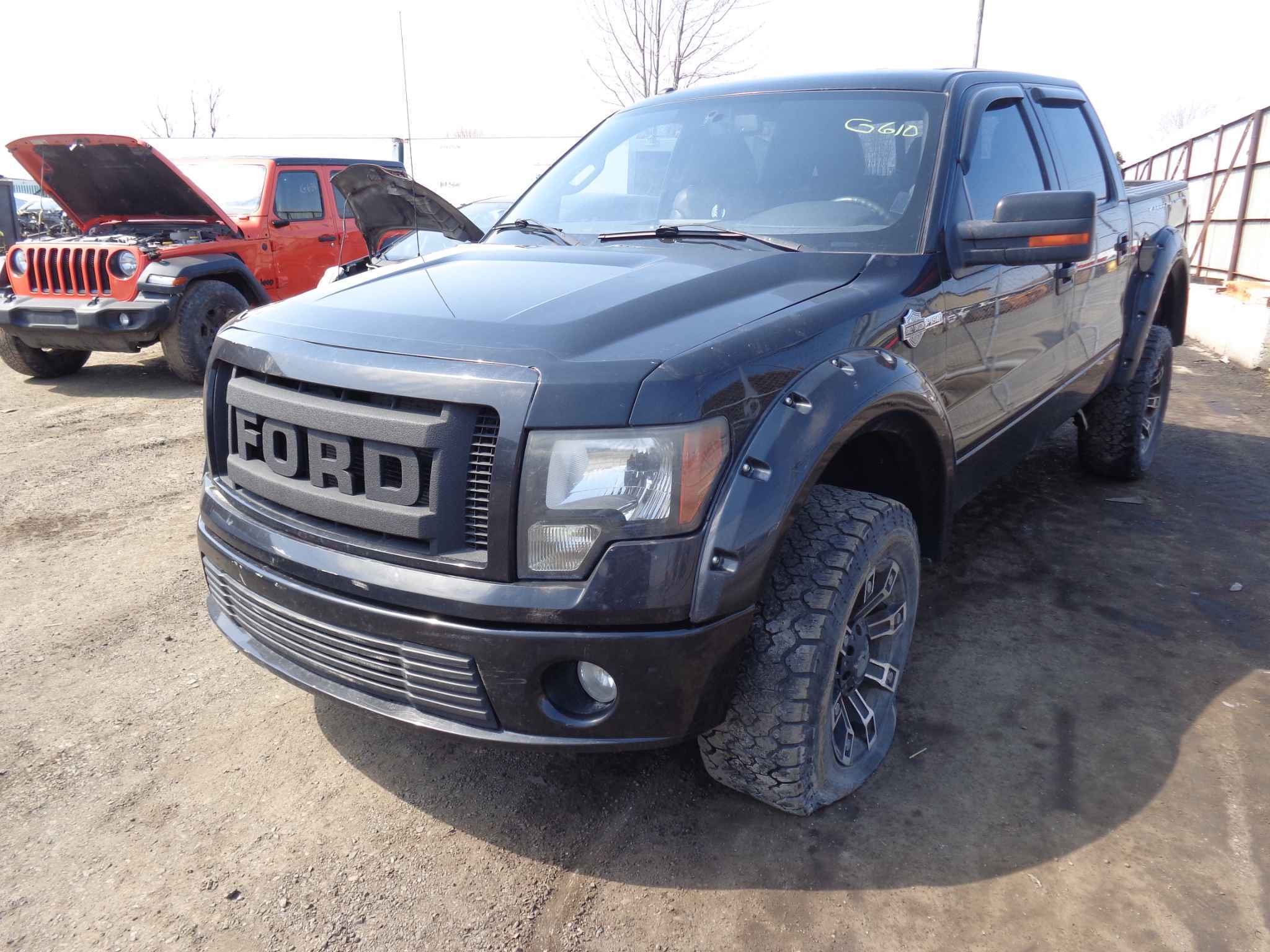 2010 Ford Pickup (Ford)
