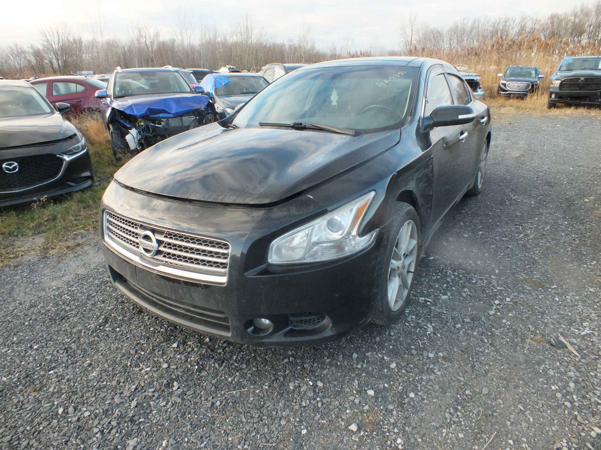 2010 Nissan Maxima