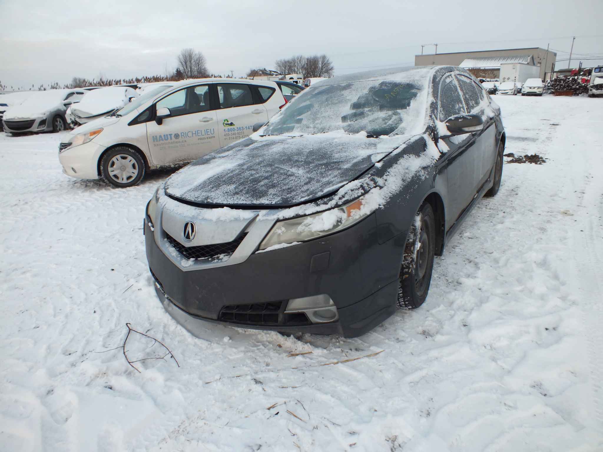 2009 Acura Tl