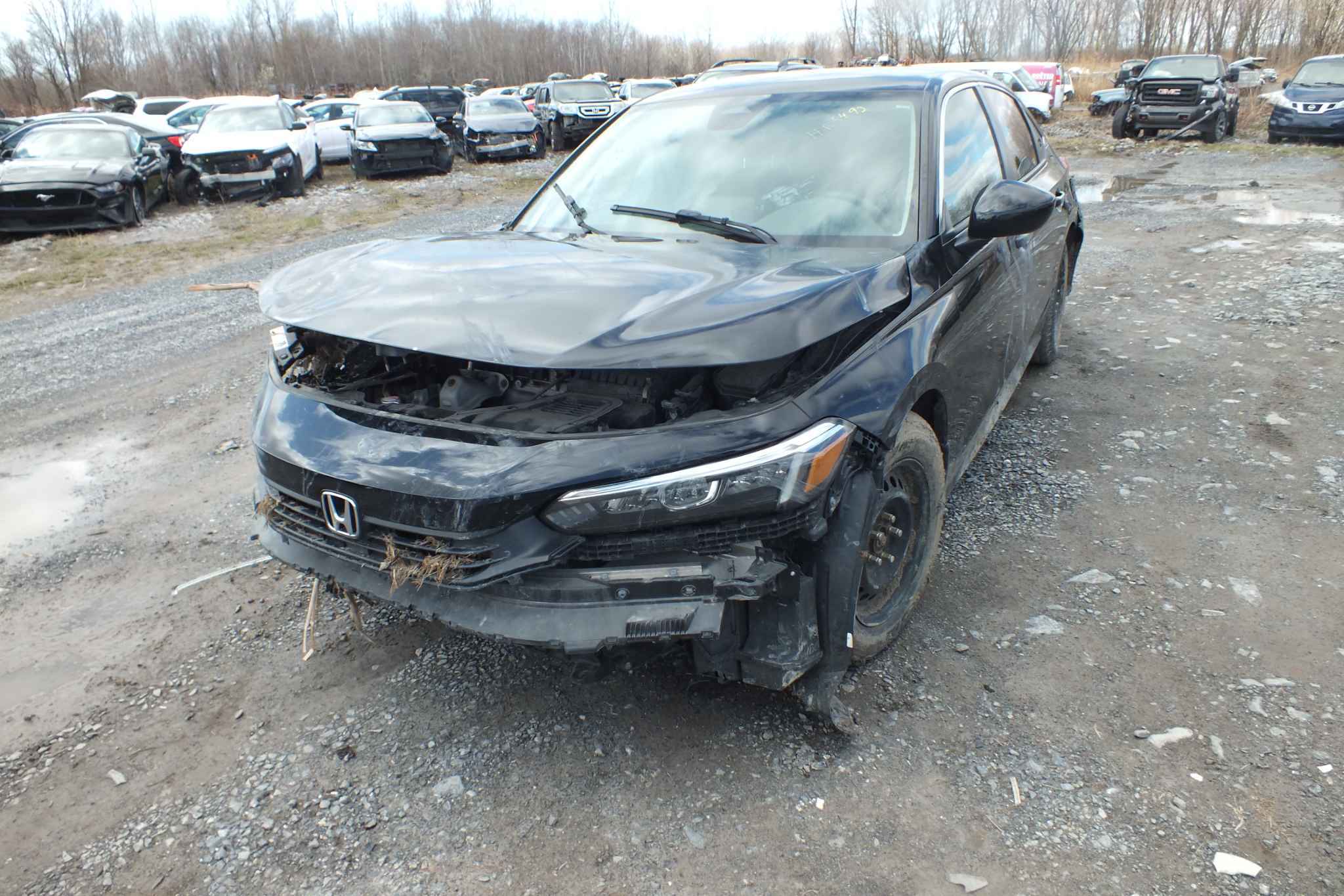 2022 Honda Civic