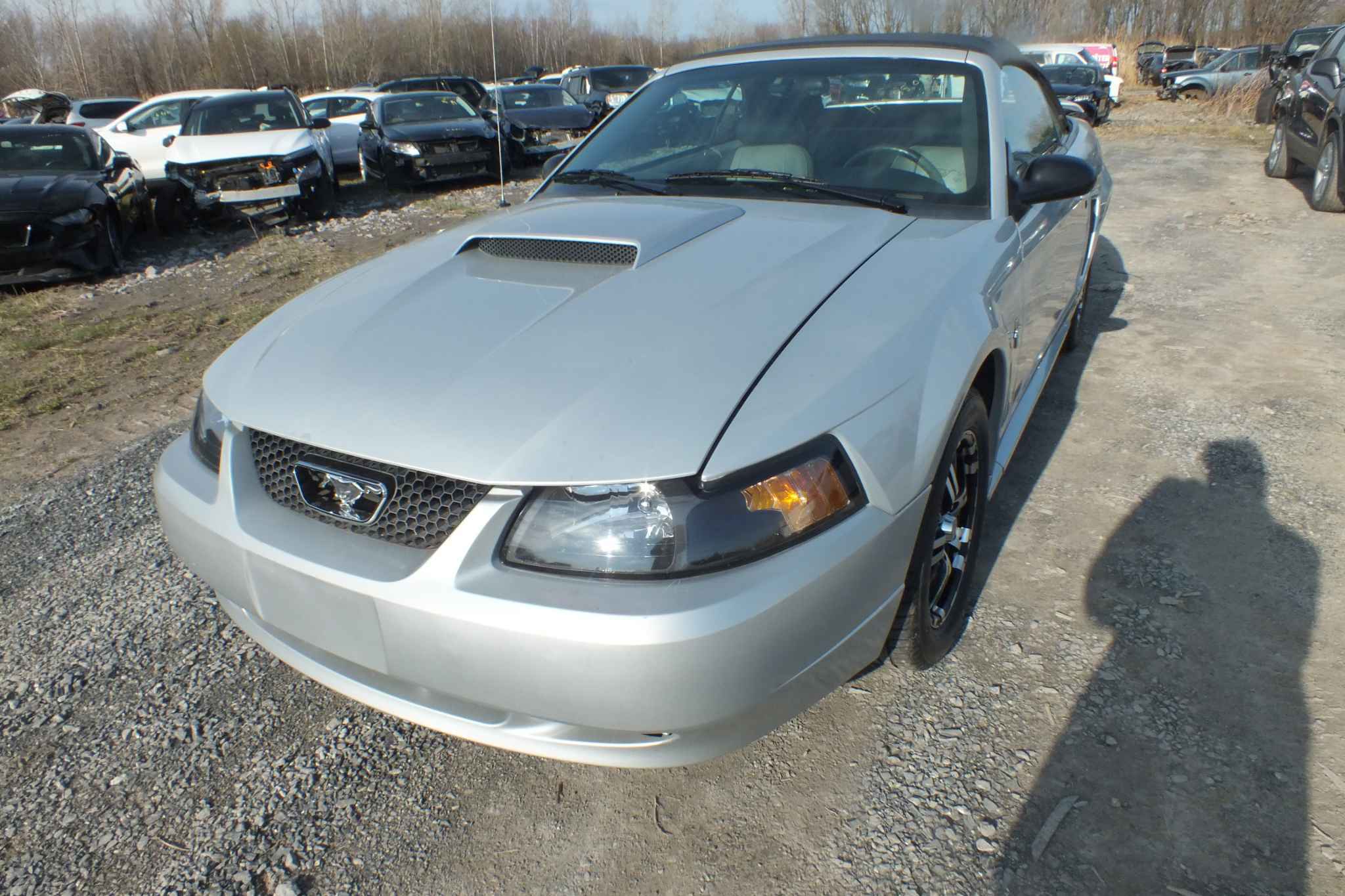 2003 Ford Mustang
