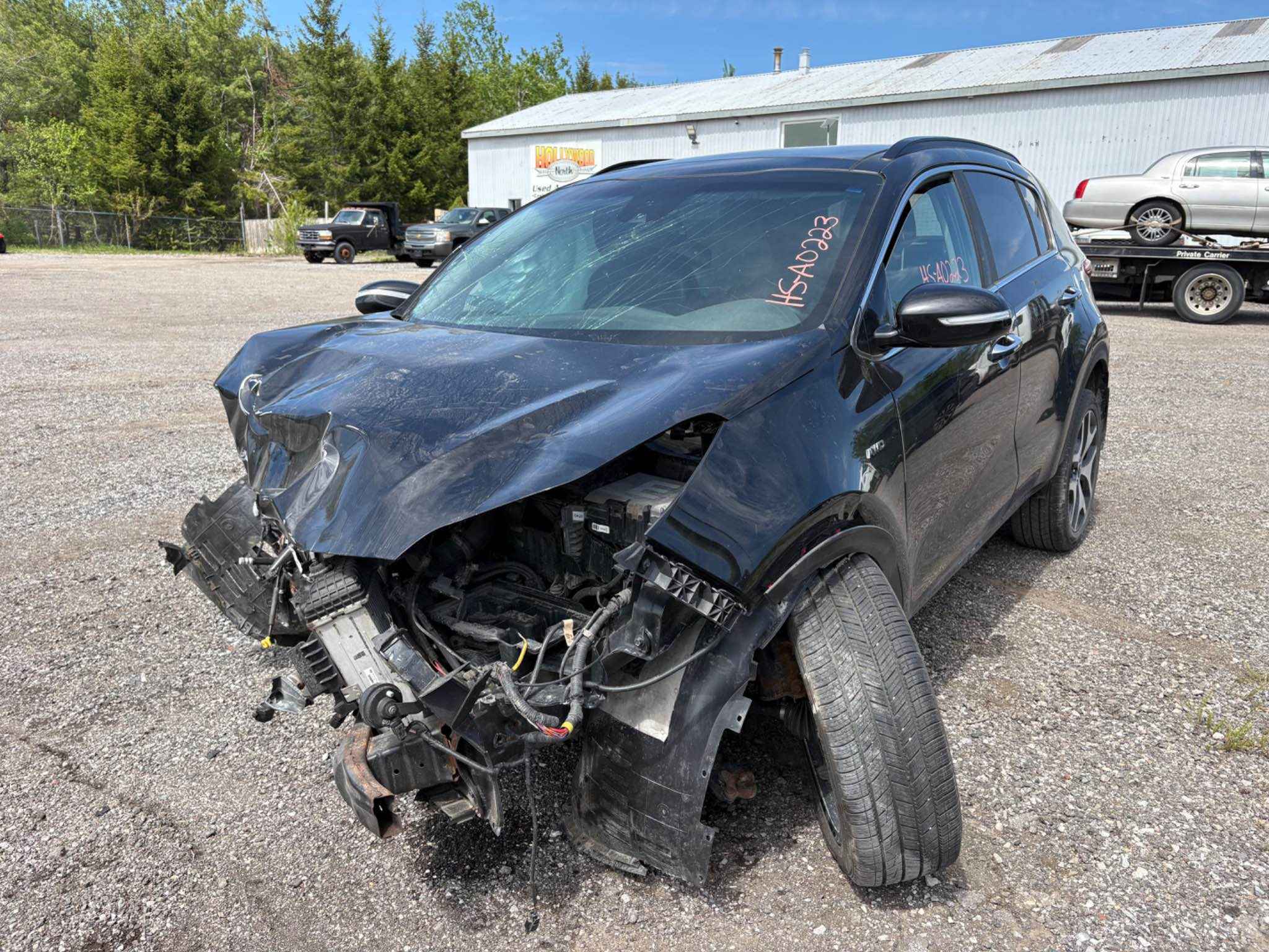 2019 Kia Sportage