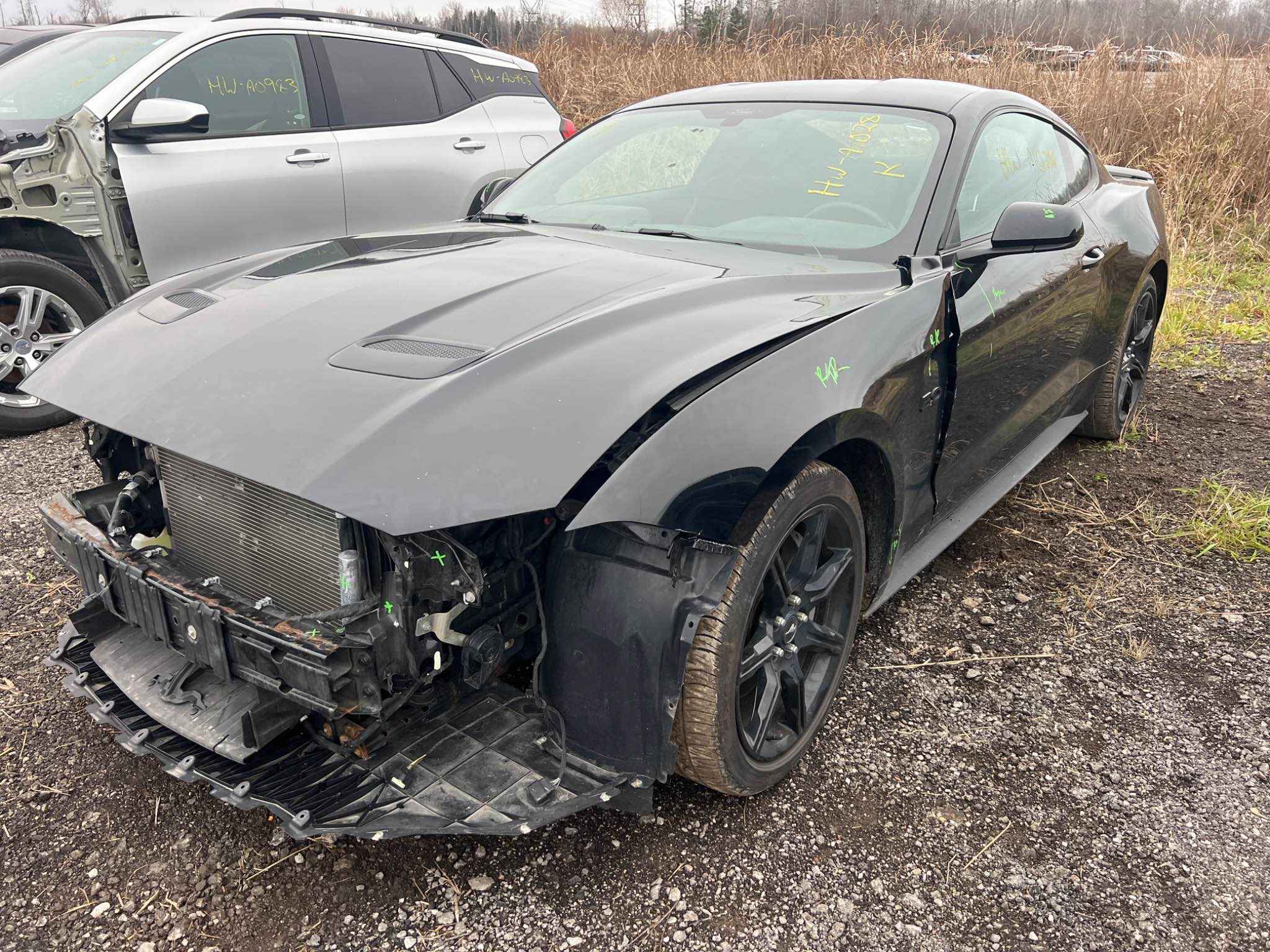 2019 Ford Mustang