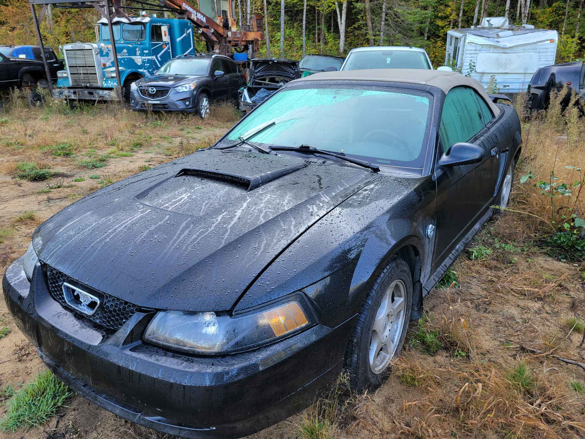 2004 Ford Mustang