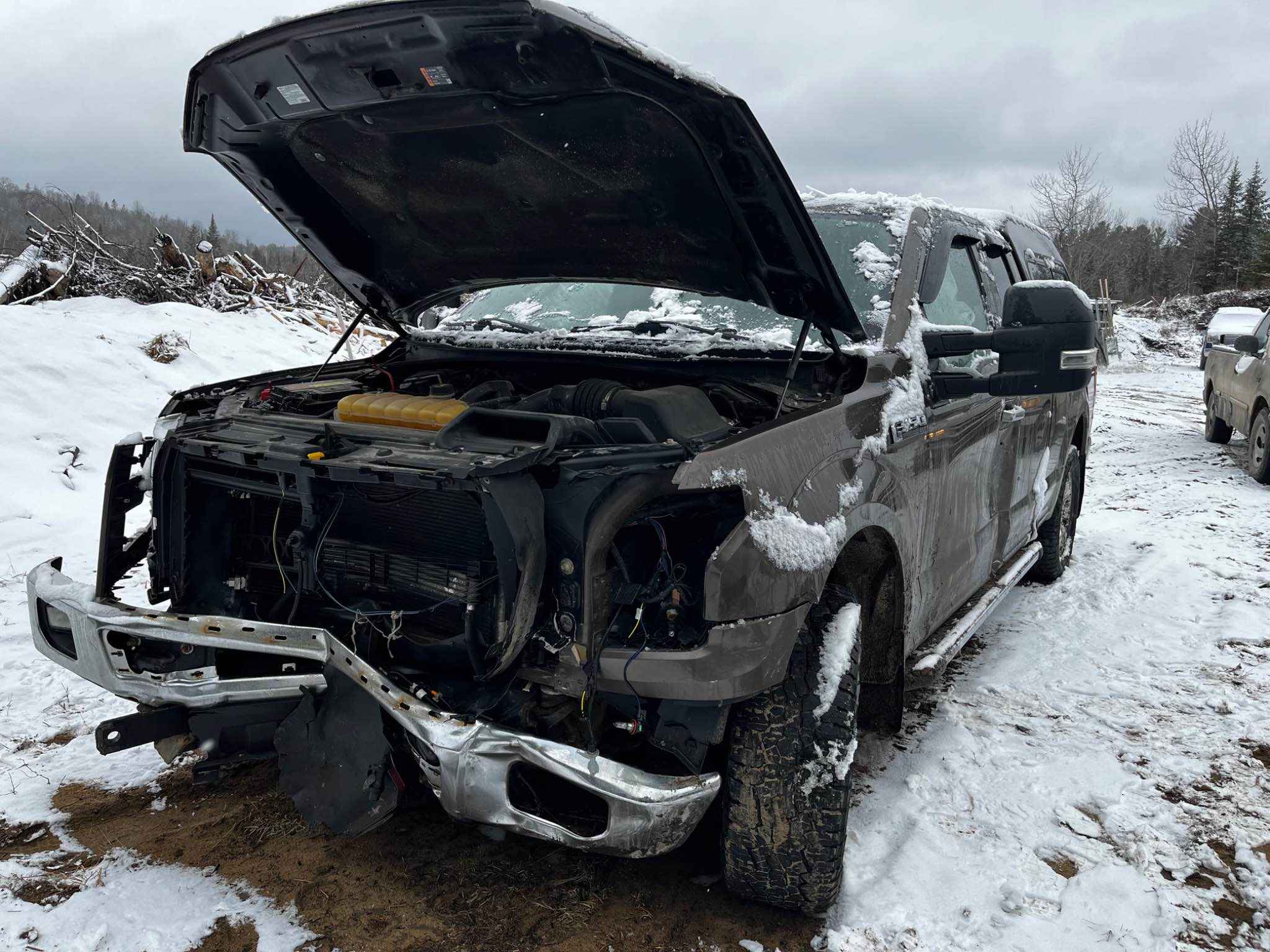 2015 Ford Pickup (Ford)