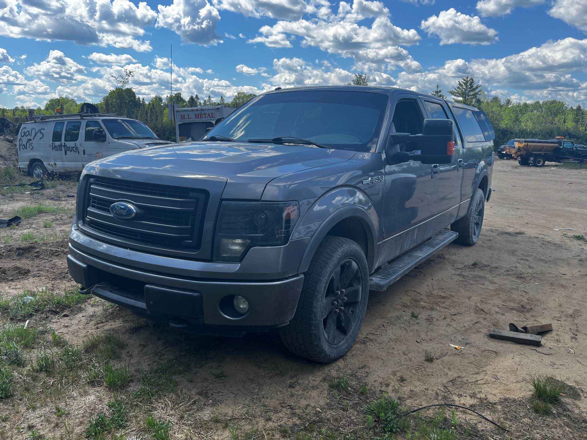 2014 Ford Pickup (Ford)