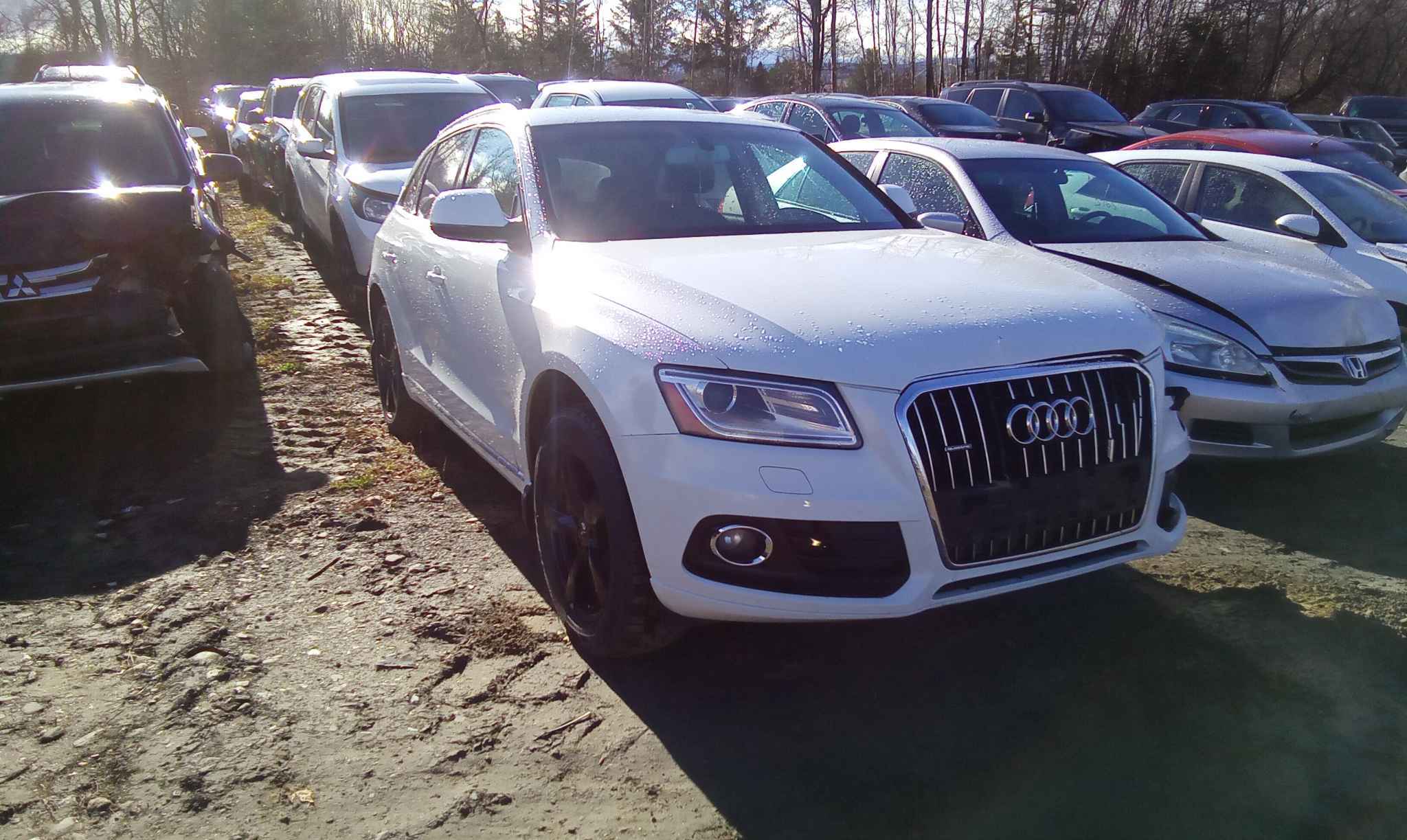 2014 Audi Q5