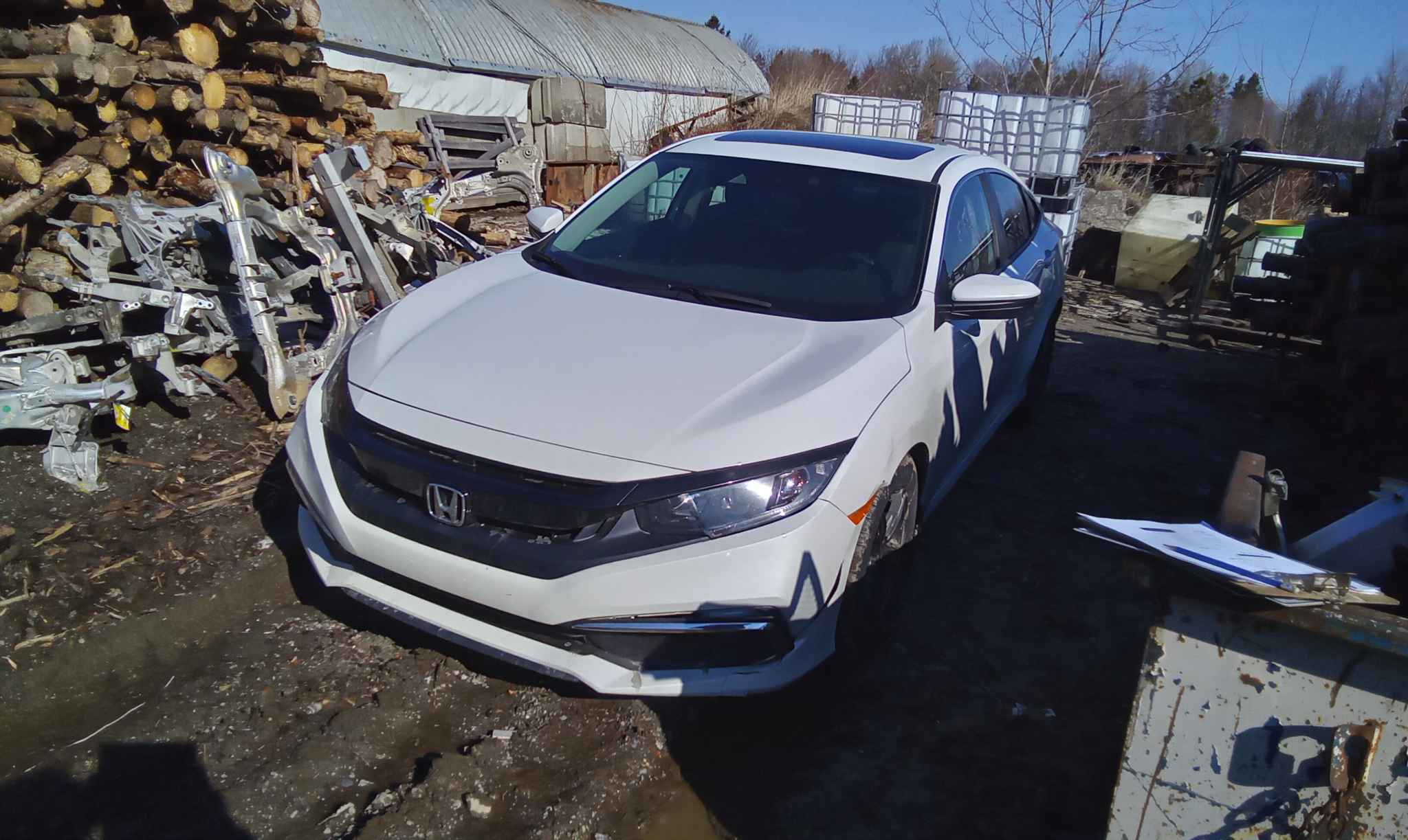 2019 Honda Civic