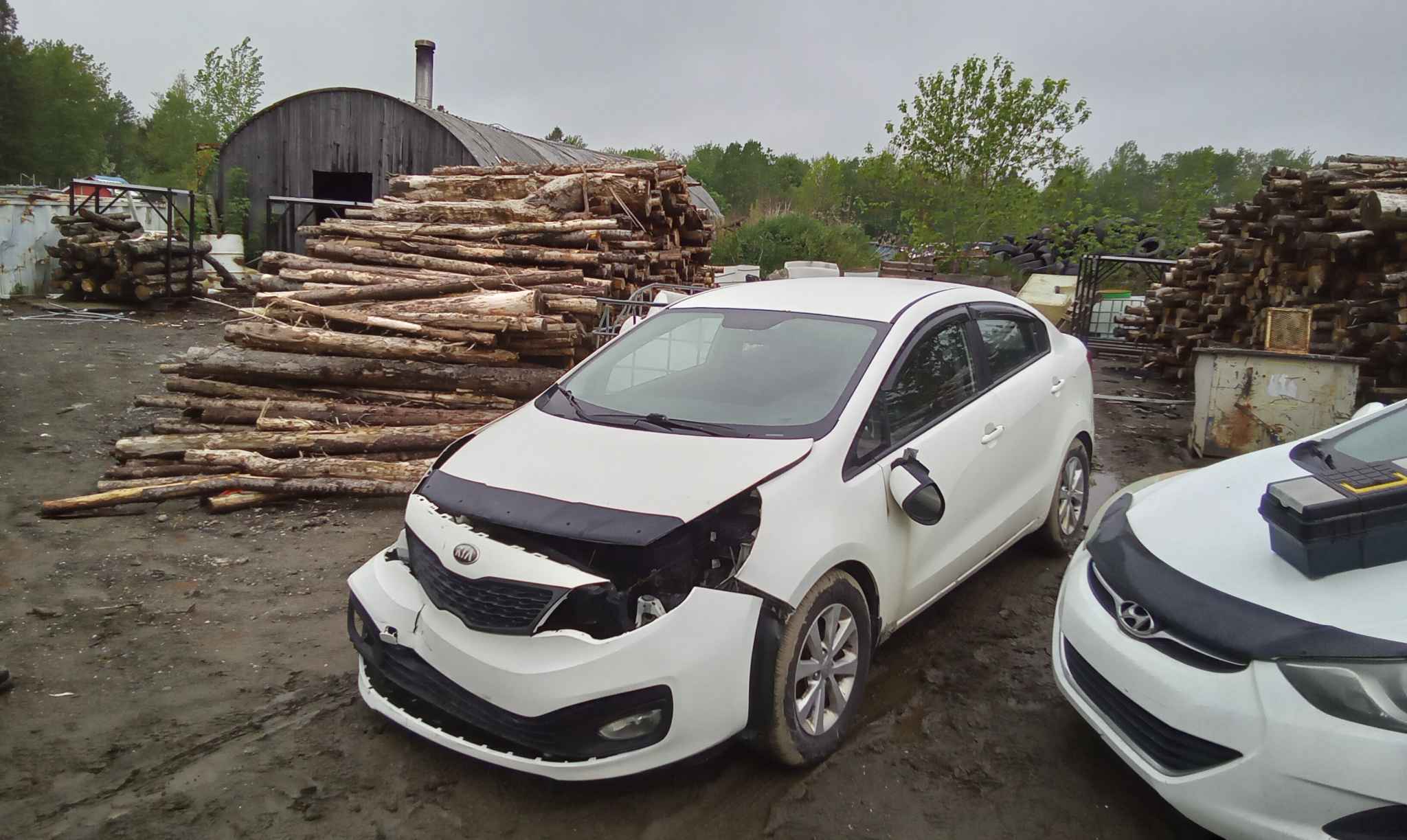 2013 Kia Rio