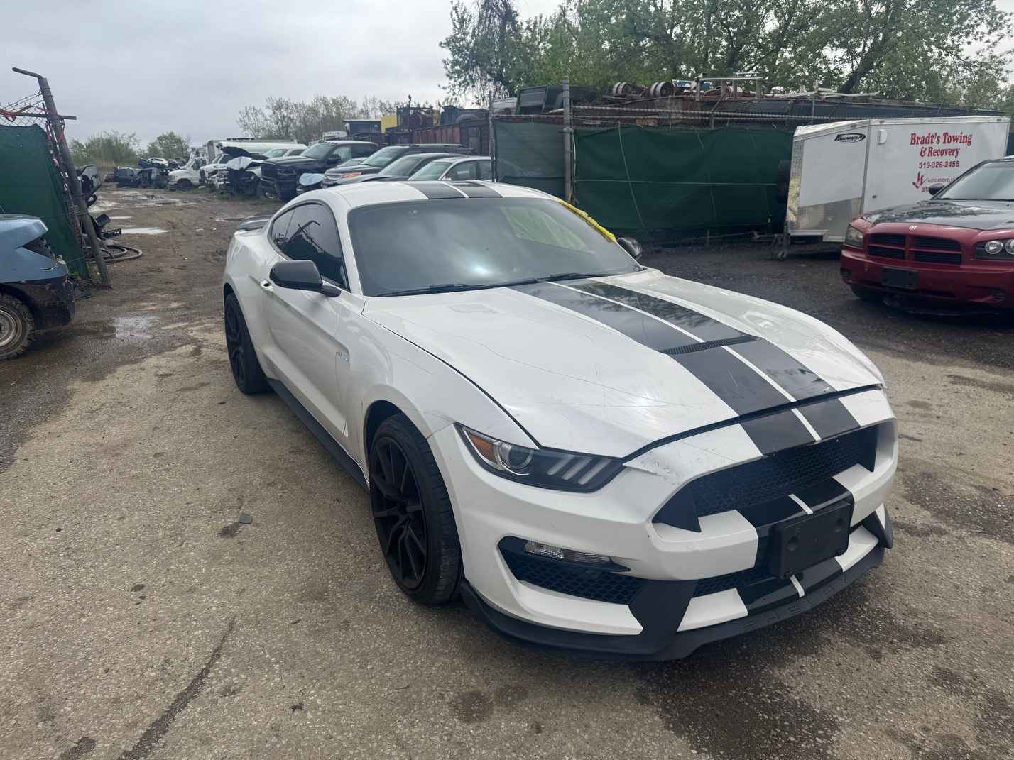 2017 Ford Mustang
