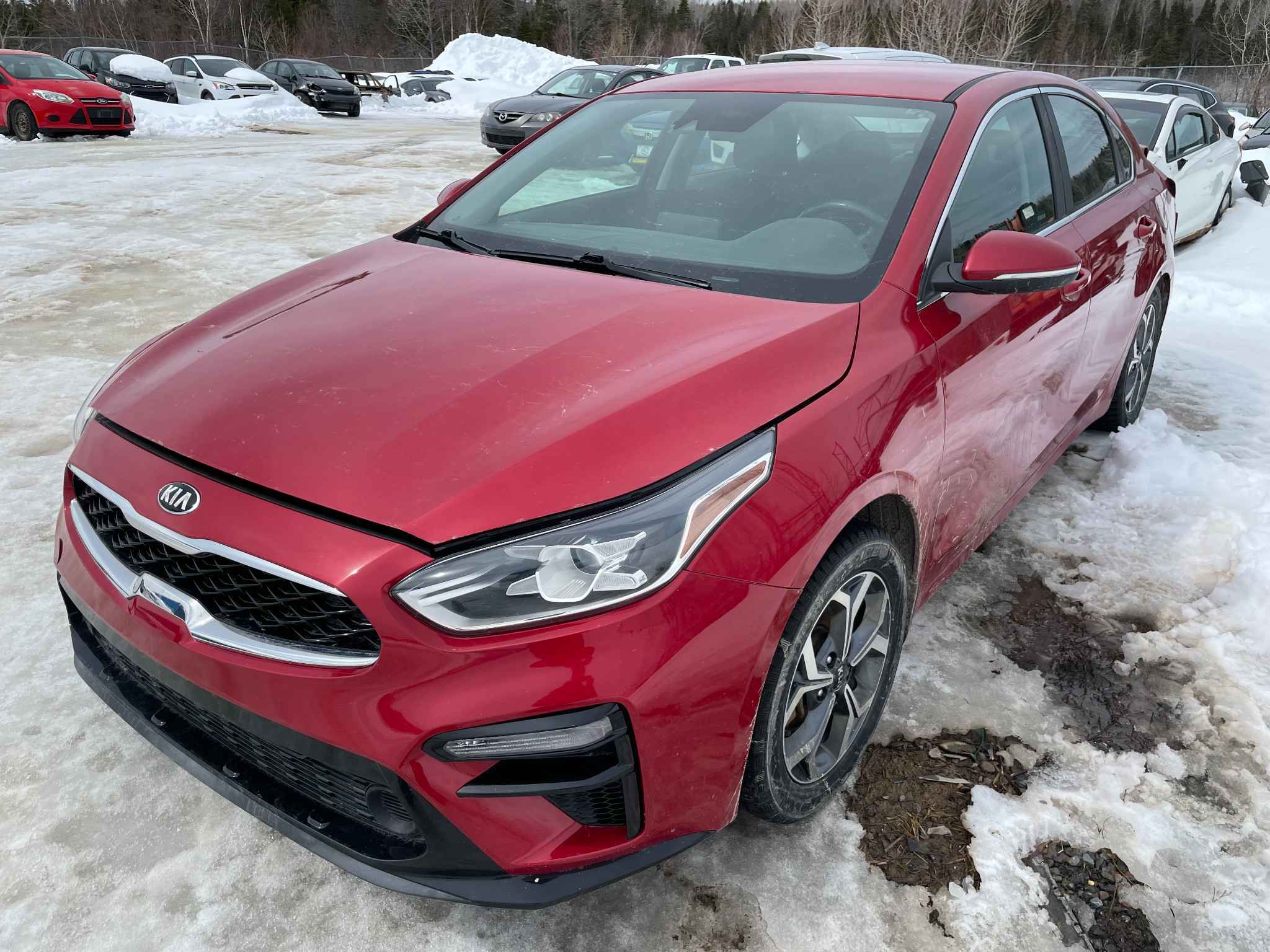 2019 Kia Forte
