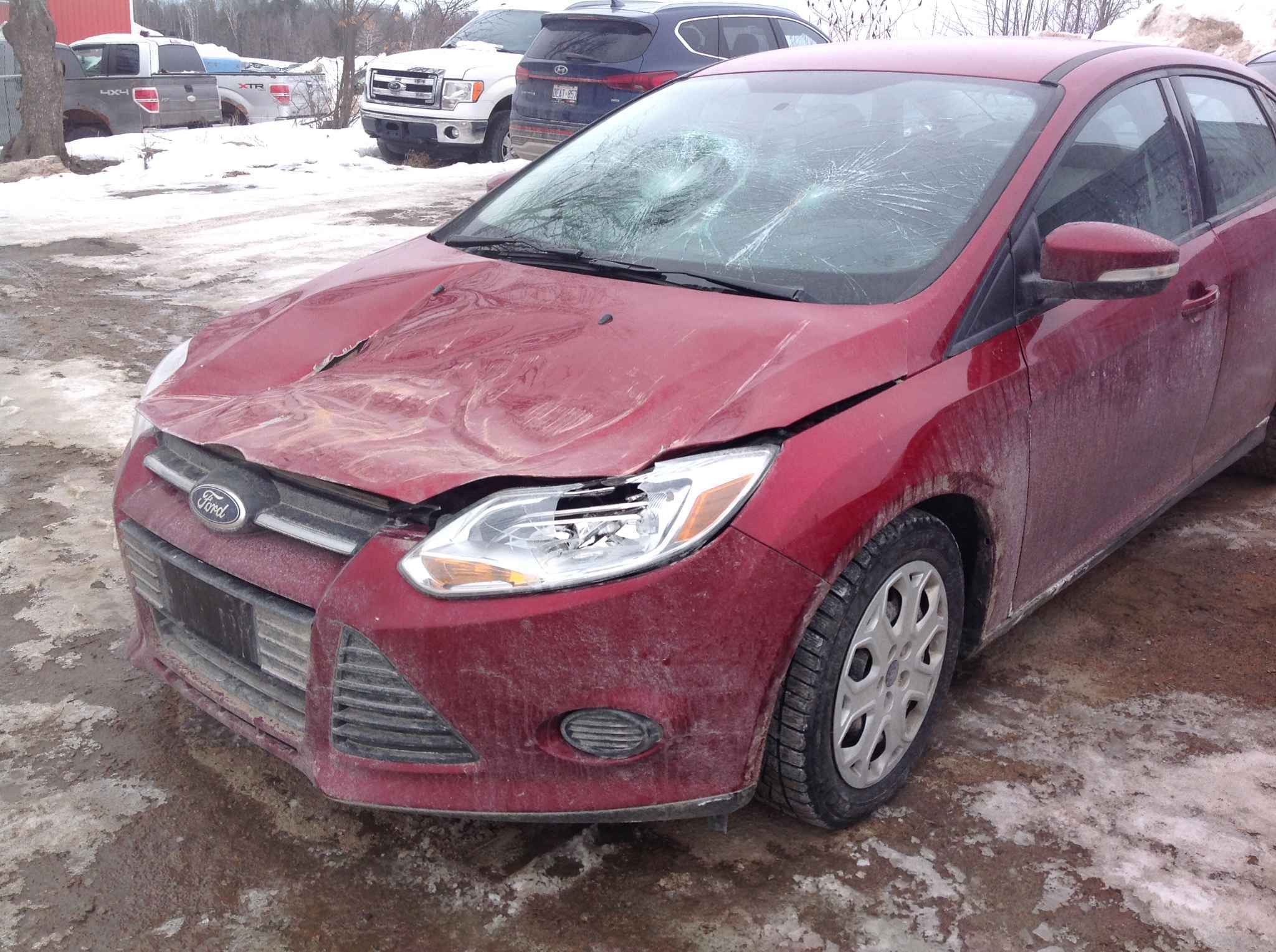 2014 Ford Focus
