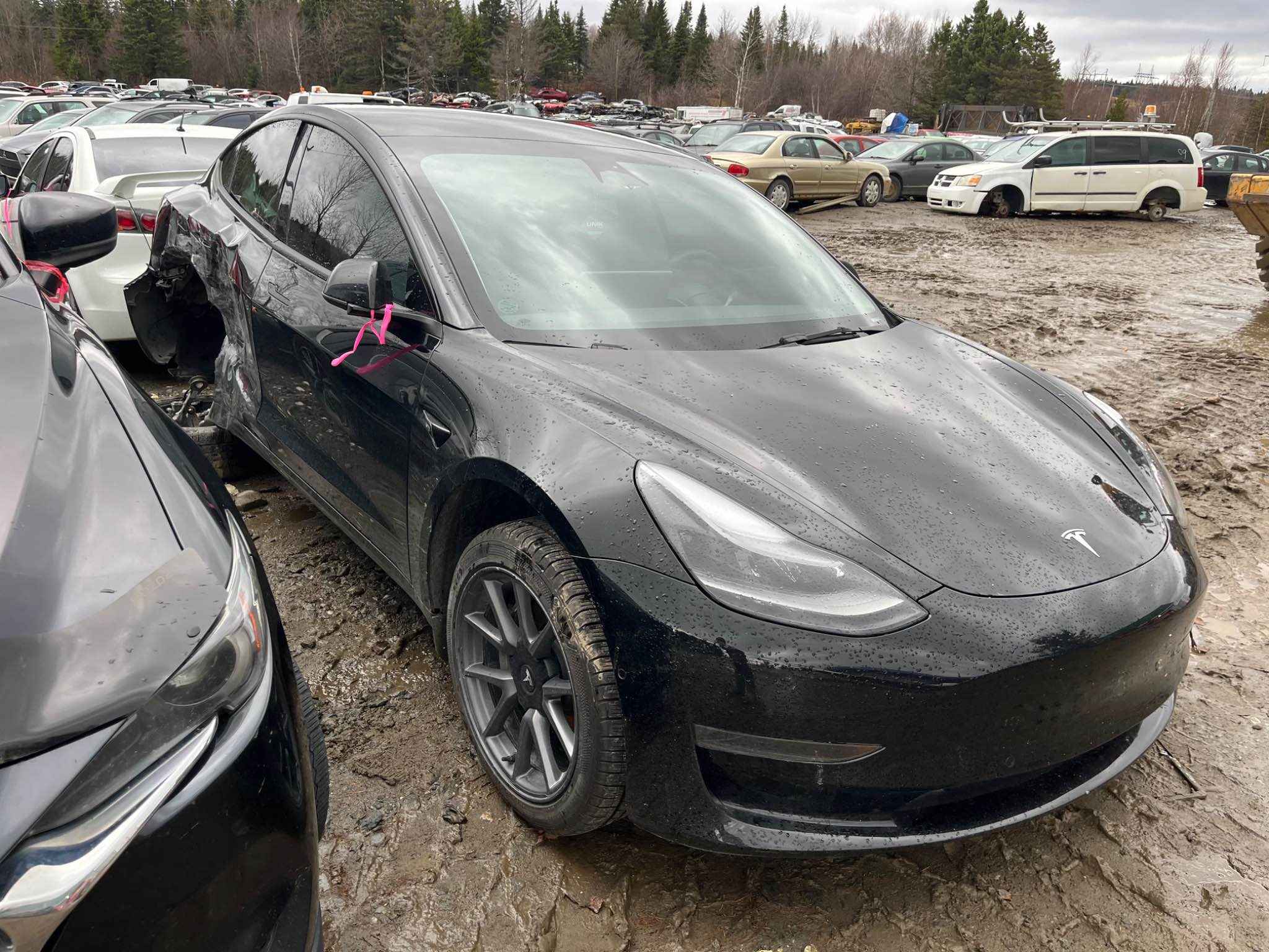 2022 Tesla Tesla 3