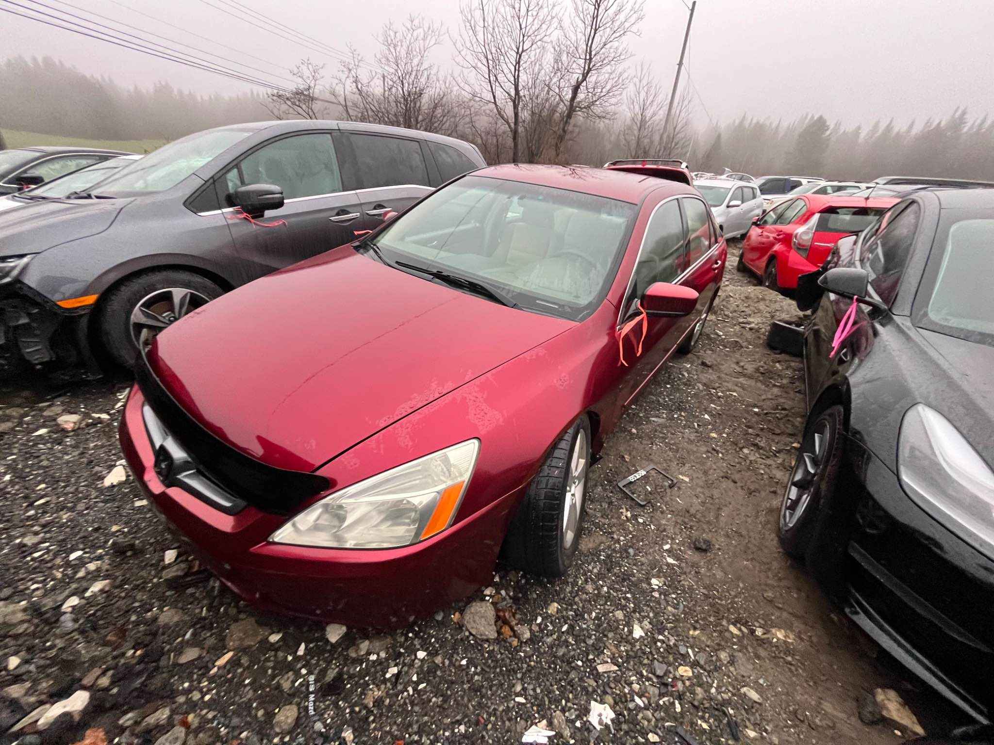 2005 Honda Accord