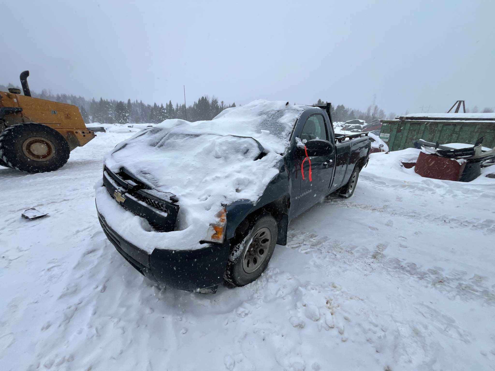 2010 GM Pickup (Chev.)