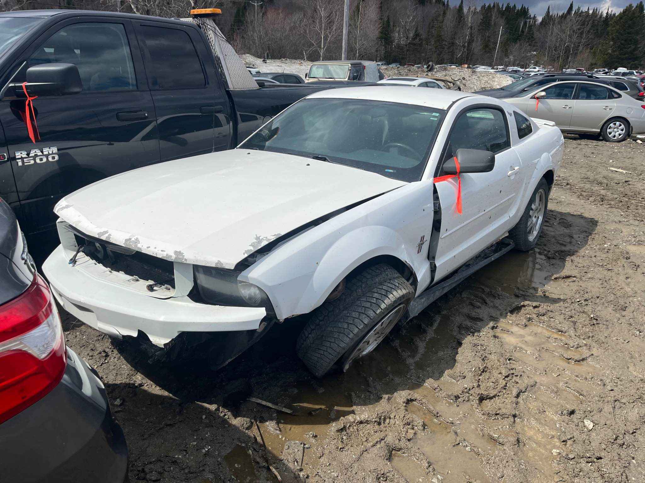 2007 Ford Mustang