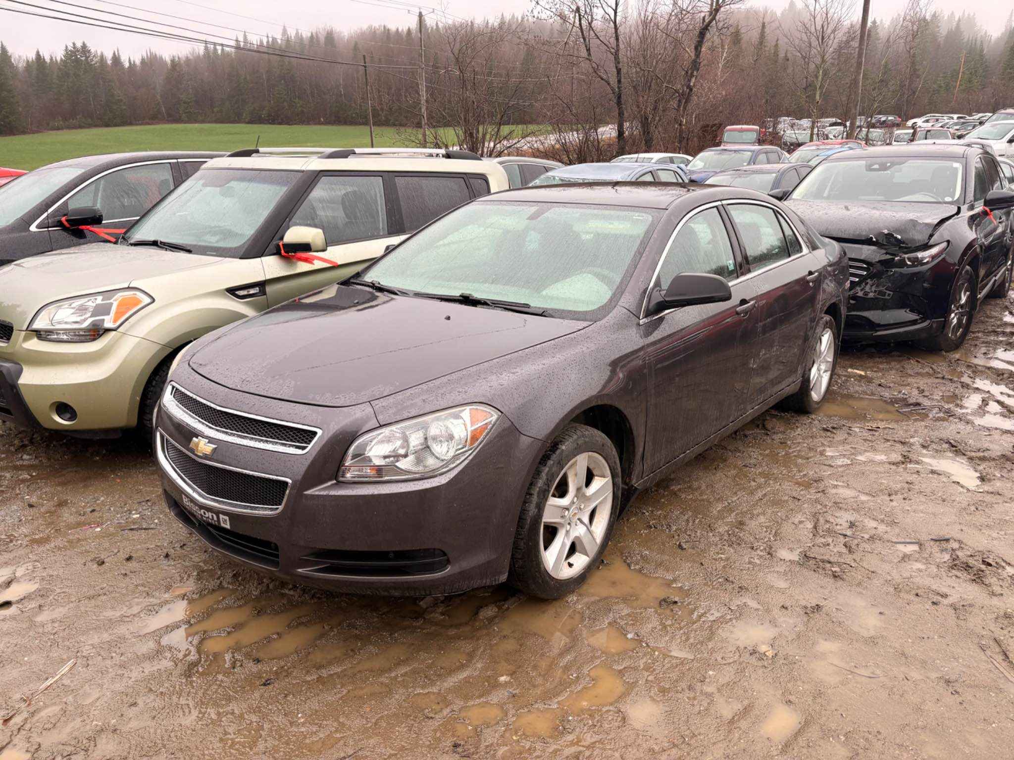 2010 GM Malibu